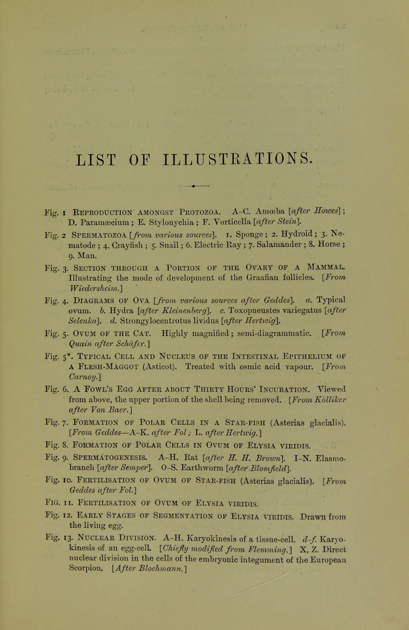 LIST OF ILLUSTEATIONS. Yig. I Reproduction amongst Protozoa. A-C. Amoeba [after Howes]; D. Paramcecium ; E. Stylonychia ; F. Vorticella [a/ifer Stein]. Fig. 2 Spermatozoa [from various sources], i. Sponge ; 2. Hydroid; 3. Ne- matode ; 4. Crayfish ; 5. Snail; 6. Electric Ray ; 7. Salamander ; 8. Horse ; 9. Man. Fig. 3. Section through a Portion of the Ovary of a Mammal. Illustrating the mode of development of the Graafian follicles. [Fro7n Wiedersheim.] Fig. 4. Diagrams of Ova [from various sources after Geddes]. a. Typical ovum. h. Hydra [after Kleiiienberg]. c. Toxopneustes variegatus [after Selenka]. d. Strongylocentrotus lividus [after Hertioig]. Fig. 5. Ovum of the Cat. Higlily magnified; semi-diagrammatic. [Froi7i Quain after Schdfer.] Fig. 5*. Typical Cell and Nucleus of the Intestinal Epithelium of a Flesh-Maggot (Asticot). Treated with osmic acid vapour. [From Carnoy.] Fig. 6. A Fowl's Egg after about Thirty Hours' Incubation. Viewed from above, the upper portion of the shell being removed. [From Kollikcr after Von Baer.] Fig. 7. Formation of Polar Cells in a Star-fish (Asterias glacialis). [From Geddes—A-K. after Fol; L. after Hertivig.] Fig. 8. Formation of Polar Cells in Ovum of Elysia viridis. Fig. 9. Spermatogenesis. A-H. Rat [after R. H. Brown]. I-N. Elasmo- branch [after Semper]. 0-S. Earthworm [after Blonifield]. Fig. 10. Fertilisation of Ovum of Star-fish (Asterias glacialis). [From Geddes after Fol.] Fig. 11. Fertilisation of Ovum of Elysia viridis. Fig. 12. Early Stages of Segmentation of Elysia viridis. Drawn from the living egg. Fig. 13. Nuclear Division. A-H. Karyokinesis of a tissue-cell, d-f Karyo- kinesis of an egg-celL [Chiefly modified from Flemming.] X, Z. Direct nuclear division in the cells of the embryonic integument of the European Scorpion. [After Blochmann.]