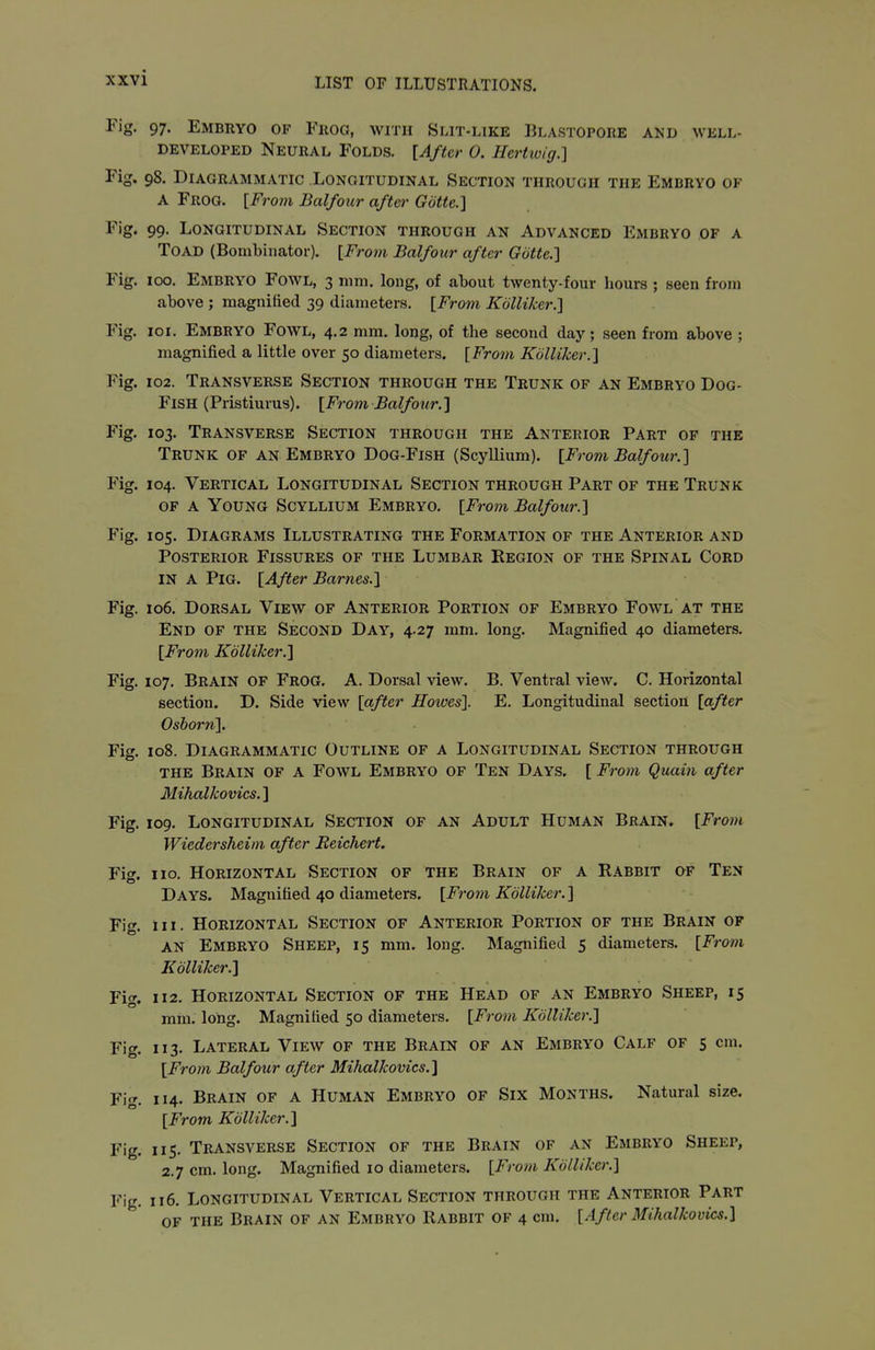 Fig. 97. Embryo of Frog, with Slit-like Blastopore and well- developed Neural Folds. [After 0. Herhvig.] Fig. 98. Diagrammatic Longitudinal Section through the Embryo of A Frog. [From Balfour after Gotte.] Fig. 99. Longitudinal Section through an Advanced Embryo of a Toad (Bombinator). [Frotn Balfour after Gotte.] Fig. 100. Embryo Fowl, 3 mm. long, of about twenty-four hours ; seen from above ; magnified 39 diameters. [Froin Kdlliker.] Fig. loi. Embryo Fowl, 4.2 mm. long, of the second day; seen from above ; magnified a little over 50 diameters. [From Kdlliker.] Fig. 102. Transverse Section through the Trunk of an Embryo Dog- fish (Pristiurus). [From Balfour.] Fig. 103. Transverse Section through the Anterior Part of the Trunk of an Embryo Dog-Fish (Scyllium). [From Balfour.] Fig. 104. Vertical Longitudinal Section through Part of the Trunk of a Young Scyllium Embryo. [From Balfour.] Fig. 105. Diagrams Illustrating the Formation of the Anterior and Posterior Fissures of the Lumbar Region of the Spinal Cord IN A Pig. [After Barnes.] Fig. 106. Dorsal View of Anterior Portion of Embryo Fowl at the End of the Second Day, 4.27 mm. long. Magnified 40 diameters. [From Kdlliker.] Fig. 107. Brain of Frog. A. Dorsal view. B. Ventral view. C. Horizontal section, D. Side view [after Hoives]. E. Longitudinal section [after Oshorn]. Fig. 108. Diagrammatic Outline of a Longitudinal Section through THE Brain of a Fowl Embryo of Ten Days. [ From Quain after Mihalkovics.] Fig. 109. Longitudinal Section of an Adult Human Brain. [From Wiedersheim after Reichert. Fig. 110. Horizontal Section of the Brain of a Rabbit of Ten Days. Magnified 40 diameters. [From Kdlliker.] Fig. III. Horizontal Section of Anterior Portion of the Brain of an Embryo Sheep, 15 mm. long. Magnified 5 diameters. [Fro7n Kdlliker.] Fig. 112. Horizontal Section of the Head of an Embryo Sheep, 15 mm. long. Magnified 50 diameters. [From Kdlliker.] Fig. 113. Lateral View of the Brain of an Embryo Calf of 5 cm. [From Balfour after Mihalkovics.] Fig. 114. Brain of a Human Embryo of Six Months. Natural size. [From Kdlliker.] Fig. 115. Transverse Section of the Brain of an Embryo Sheep, 2.7 cm. long. Magnified 10 diameters. [From Kdlliker.] Fig. 116. Longitudinal Vertical Section through the Anterior Part of the Brain of an Embryo Rabbit of 4 cm. [After Mihalkovics.]