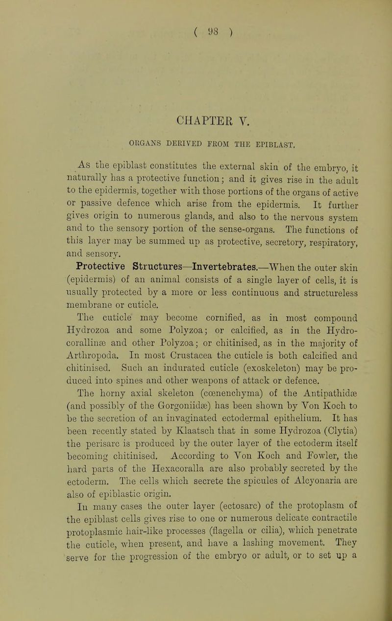 ( ys ) CHAPTER V. ORGANS DERIVED FllOM THE EPIBLAST. As the epiblast constitutes the external skia of the embrvo, it naturally has a protective function; and it gives rise in the adult to the epidermis, together with those portions of the organs of active or passive defence which arise from the epidermis. It further gives origin to numerous glands, and also to the nervous system and to the sensory portion of the sense-organs. The functions of this layer may be summed up as protective, secretory, respiratory, and sensory. Protective Structures—Invertebrates.—When the outer skin (epidermis) of an animal consists of a single layer of cells, it is usually protected by a more or less continuous and structureless membrane or cuticle. The cuticle may become cornified, as in most compound Hydrozoa and some Polyzoa; or calcified, as in the Hydro- corallinse and other Polyzoa; or chitinised, as in the majority of Arthropoda. In most Crustacea the cuticle is both calcified and chitinised. Such an indurated cuticle (exoskeleton) may be pro- duced into spines and other weapons of attack or defence. The horny axial skeleton (coenenchyma) of the Antipathidse (and possibly of the Gorgoniid£e) has been shown by Von Koch to be the secretion of an invaginated ectodermal epithelium. It has been recently stated by Klaatsch that in some Hydrozoa (Clytia) the perisarc is produced by the outer layer of the ectoderm itself becoming chitinised. According to Von Koch and Powler, the hard parts of the Hexacoralla are also probably secreted by the ectoderm. The cells which secrete the spicules of Alcyonaria are also of epiblastic origin. lu many cases the outer layer (ectosarc) of the protoplasm of the epiblast cells gives rise to one or numerous delicate contractile protoplasmic hair-like processes (flagella or cilia), which penetrate the cuticle, when present, and have a lashing movement. They serve for the progression of the embryo or adult, or to set up a