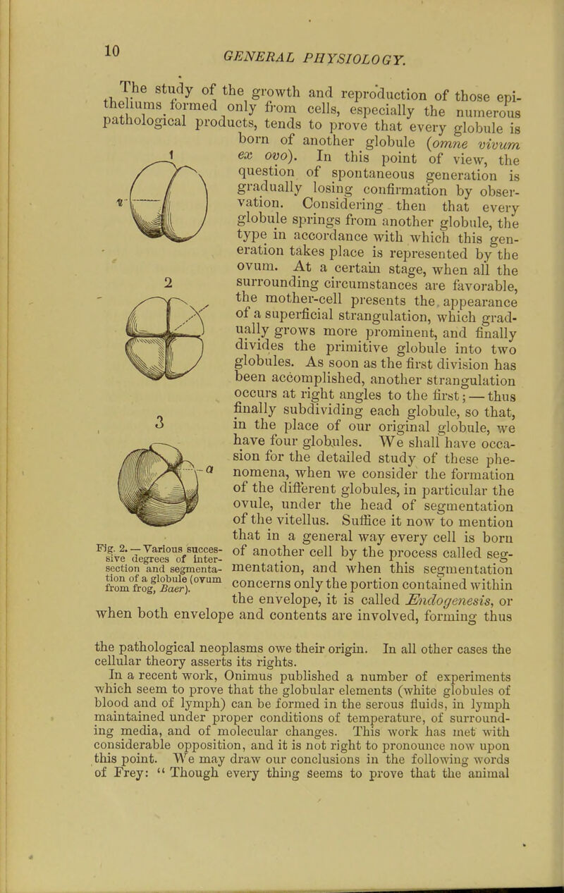 GENERAL PHYSIOLOGY. The study of the growth and reproduction of those epi- the iums formed only from cells, especially the numerous pathological products, tends to prove that every globule is born of another globule {omne vivum ex ovo). In this point of view, the question of spontaneous generation is gradually losing confirmation by obser- vation. Considering then that every globule springs from another globule, the type in accordance with which this gen- eration takes place is represented by the ovum. At a certain stage, when all the surrounding circumstances are favorable, the mother-cell presents the appearance of a superficial strangulation, which grad- ually grows more prominent, and finally divides the primitive globule into two globules. As soon as the first division has been accomplished, another strangulation occurs at right angles to the first; — thus finally subdividing each globule, so that, in the place of our original globule, we have four globules. We shalfhave occa- sion for the detailed study of these phe- nomena, when we consider the formation of the diflerent globules, in particular the ovule, under the head of segmentation of the vitellus. Sufiice it now to mention that in a general way every cell is born ^S4Te?e?sTE- another cell by the process called seg- section and segmenta- mentation, and when this segmentation from frogf SiV^''' concerns only the portion contained within the envelope, it is called Endogenesis, or when both envelope and contents are involved, forming thus the pathological neoplasms owe their origin. In all other cases the cellular theory asserts its rights. In a recent work, Onimus published a number of experiments •which seem to prove that the globular elements (white globules of blood and of lymph) can be formed in the serous fluids, in lymph maintained under proper conditions of temperature, of surround- ing media, and of molecular changes. This work has met with considerable opposition, and it is not right to pronounce now upon this point. We may draw our conclusions in the following words of Frey:  Though every thing seems to prove that the animal