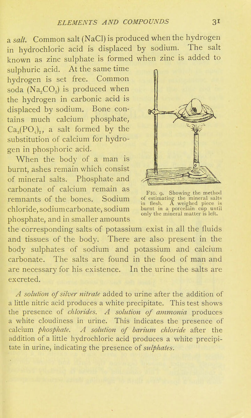 a salt. Common salt (NaCl) is produced when the hydrogen in hydrochloric acid is displaced by sodium. The salt known as zinc sulphate is formed when zinc is added to sulphuric acid. At the same time hydrogen is set free. Common soda (Na^COg) is produced when the hydrogen in carbonic acid is displaced by sodium. Bone con- tains much calcium phosphate, Ca3(POj2, a salt formed by the substitution of calcium for hydro- gen in phosphoric acid. When the body of a man is burnt, ashes remain which consist of mineral salts. Phosphate and carbonate of calcium remain as remnants of the bones. Sodium chloride, sodium carbonate, sodium phosphate, and in smaller amounts the corresponding salts of potassium exist in all the fluids and tissues of the body. There are also present in the body sulphates of sodium and potassium and calcium carbonate. The salts are found in the food of man and are necessary for his existence. In the urine the salts are excreted. A solution of silver nitrate added to urine after the addition of a little nitric acid produces a white precipitate. This test shows the presence of chlorides. A solution of ammonia produces a white cloudiness in urine. This indicates the presence of calcium phosphate. A solution of barium chloride after the addition of a little hydrochloric acid produces a white precipi- tate in urine, indicating the presence of sulphates. El Fig. 9. Showing- the method of estimating the mineral salts in flesh. A weighed piece is burnt in a porcelain cup until only the mineral matter is left.