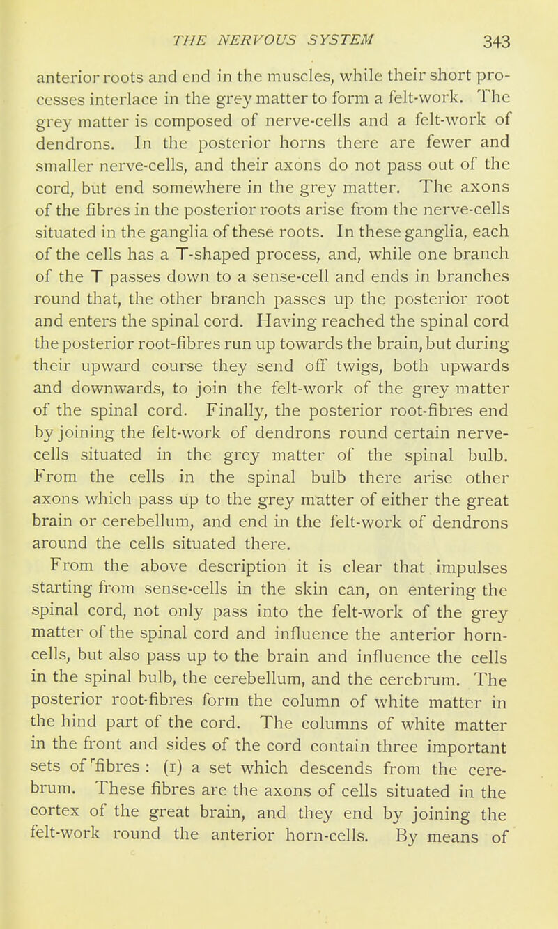 anterior roots and end in the muscles, while their short pro- cesses interlace in the grey matter to form a felt-work. The gre}'' matter is composed of nerve-cells and a felt-work of dendrons. In the posterior horns there are fewer and smaller nerve-cells, and their axons do not pass out of the cord, but end somewhere in the grey matter. The axons of the fibres in the posterior roots arise from the nerve-cells situated in the ganglia of these roots. In these ganglia, each of the cells has a T-shaped process, and, while one branch of the T passes down to a sense-cell and ends in branches round that, the other branch passes up the posterior root and enters the spinal cord. Having reached the spinal cord the posterior root-fibres run up towards the brain, but during their upward course they send off twigs, both upwards and downwards, to join the felt-work of the grey matter of the spinal cord. Finally, the posterior root-fibres end by joining the felt-work of dendrons round certain nerve- cells situated in the grey matter of the spinal bulb. From the cells in the spinal bulb there arise other axons which pass lip to the grey matter of either the great brain or cerebellum, and end in the felt-work of dendrons around the cells situated there. From the above description it is clear that impulses starting from sense-cells in the skin can, on entering the spinal cord, not only pass into the felt-work of the grey matter of the spinal cord and influence the anterior horn- cells, but also pass up to the brain and influence the cells in the spinal bulb, the cerebellum, and the cerebrum. The posterior root-fibres form the column of white matter in the hind part of the cord. The columns of white matter in the front and sides of the cord contain three important sets of '■fibres : (i) a set which descends from the cere- brum. These fibres are the axons of cells situated in the cortex of the great brain, and they end by joining the felt-work round the anterior horn-cells. By means of