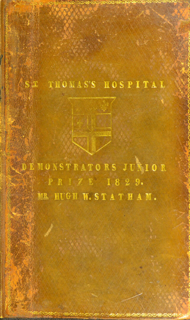 No text description is available for this image