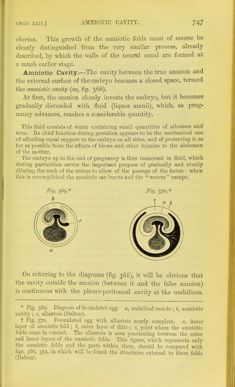 chorion. This growth of the amniotic folds must of course be clearly distinguished from the very similar process, already described, by which the walls of the neural canal are formed at a much earlier stage. Amniotic Cavity.—The cavity between the true amnion and the external surface of the embryo becomes a closed space, termed the amniotic cavity (ac, fig. 366). At first, the amnion closely invests the embryo, but it becomes gradually distended with fluid (liquor amnii), which, as preg- nancy advances, reaches a considerable quantity. This fluid consists of water containing small quantities of albumen and. urea. Its chief function during gestation ajDpears to be the mechanical one of affording equal support to the embryo on all sides, and of protecting it as far as possible from the effects of blows and other injuries to the abdomen of the mother. The embryo up to the end of pregnancy is thus immersed in fluid, which during parturition serves the important purpose of gradually and evenly dilating the neck of the uterus to allow of the passage of the foetus : when this is accomplished the amniotic sac bursts and the  waters  escape. Fig. 369.* Fig. 370. t On referring to the diagrams (fig. 366), it will be obvious that the cavity outside the amnion (between it and the false amnion) is continuous with the pleuro-peritoneal cavity at the umbilicus. * Fig. 369. Diagi-am of fecundated egg. a, umbilical vesicle ; b, amniotic cavity ; c, allantois (Dalton). t Fig. 370. Fecundated egg with allantois nearly complete, a, inner layer of amniotic fold ; b, outer layer of ditto ; c, point where the amniotic folds come in contact. The allantois is seen penetrating between the outer and inner layers of the amniotic folds. This figure, which represents only the amniotic folds and the parts within them, should be compared with, figs. 366, 372, in which will be found the structures external to these folds (Dalton).