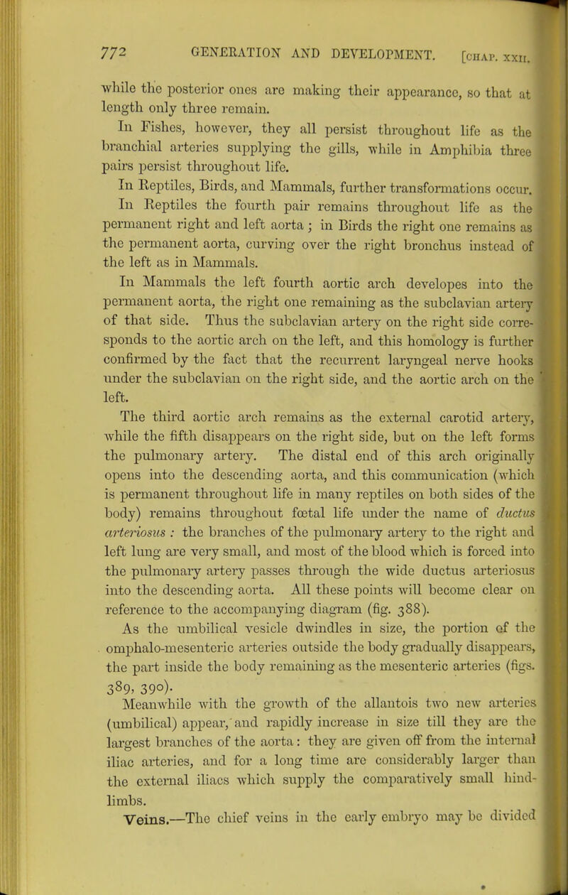 while tKe posterior ones are making their appearance, so that at length only three remain. In Fishes, however, they all persist throughout life as the branchial arteries supplying the gills, while in Amphibia three pairs persist throughout life. In Eeptiles, Birds, and Mammals, further transformations occur. In Reptiles the fourth pair remains throiighout life as the permanent right and left aorta ; in Birds the right one remains as the permanent aorta, curving over the right bronchus instead of the left as in Mammals. In Mammals the left fourth aortic arch developes into the permanent aorta, the right one remaining as the subclavian arteiy of that side. Thus the subclavian artery on the right side corre- sponds to the aortic arch on the left, and this homology is further confirmed by the fact that the recurrent laryngeal nerve hooks under the subclavian on the right side, and the aortic arch on the left. The third aortic arch remains as the external carotid arterv, while the fifth disappears on the right side, but on the left forms the pulmonary artery. The distal end of this arch originally opens into the descending aorta, and this communication (which is permanent throughout life in many reptiles on both sides of the body) remains throughout foetal life imder the name of ductus arteriosus : the branches of the pulmonary artery to the right and left lung are very small, and most of the blood which is forced into the pulmonary arteiy passes through the wide ductus arteriosus into the descending aorta. All these points will become clear on reference to the accompanying diagram (fig. 388). As the lunbilical vesicle dwindles in size, the portion of the omphalo-mesenteric arteries outside the body gradually disappears, the part inside the body remaining as the mesenteric arteries (figs. 389* 390)- Meamvhile with the growth of the allantois two new arteries (umbilical) appear,'and rapidly increase in size till they are the largest branches of the aorta: they are given off from the internal iliac arteries, and for a long time are considerably lai'ger than the external iliacs which supply the comparatively small hind- limbs. Veins.—The chief veins in the early embryo may bo divided