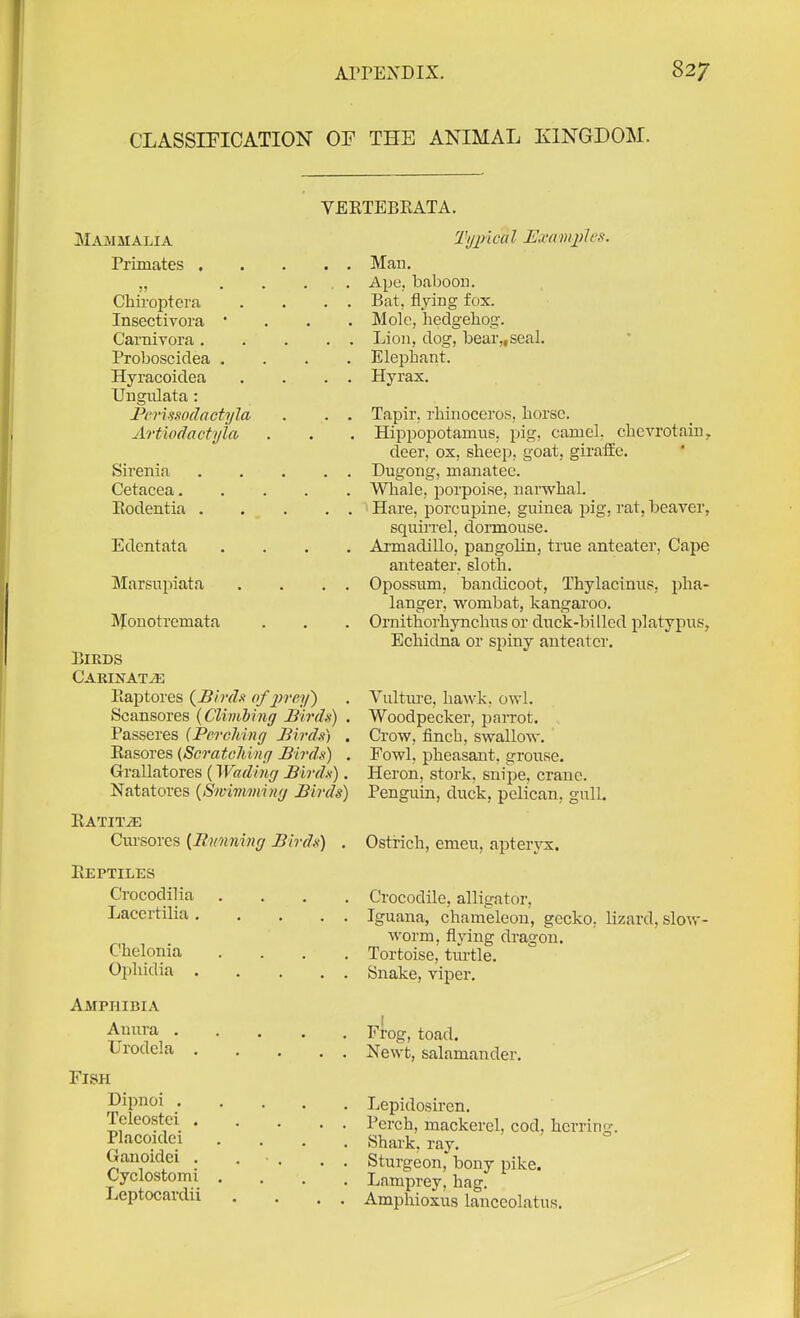 CLASSIFICATION OF THE ANIMAL KINGDOM. VEETEBRATA. Mammalia Primates . Chii'opterfi Insectivora • Carnivora . Proboscidea . Hyracoidea Uugulata : PcTissodoctyla Artiodactyla Sirenia Cetacea. Eodentia . Edentata Marsniiiata ]\tonotremata UlEDS C'ARINATiE Piaptores {B'mh of preif) Scansores {Climbing Birdis) . Passeres {Perching Birds) . Rasores (Scratching Birds) . Grallatores (Wading Birds). Natatores {Swimviing Birds) Ratit^ Cui'sores {Bwming Birds) . Reptiles Crocodilia . . . . Lacertilia Chelonia .... Ophidia Amphibia Anura Urodcla Fish Dipnoi . Teleostei . Placoidei Ganoidei . Cyclostomi Leptocardii Tgjncal Exami)lcs. Man. Ape, baboon. Bat, flying fox. Mole, hedgehog. Lion, dog, bear,,seal. Eleijhant. Hyrax. Tapir, rhinoceros, horse. Hippopotamus, pig, camel, chcvrotain, deer, ox, sheep, goat, giraffe. Dugong, manatee. Whale, iDorpoise, narwhal. ' Hare, porcupine, guinea pig, rat, beaver, squirrel, dormouse. Armadillo, pangolin, true anteater. Cape anteater, sloth. Opossum, bandicoot, Thylacinus, pha- langer, wombat, kangaroo. Ornithorhynchus or duck-billed platypus. Echidna or spiny anteater. Vultm-e, hawk, owl. Woodpecker, j^aiTot. Crow, finch, swallow. Fowl, pheasant, grouse. Heron, stork, snii:)e, crane. Penguin, duck, pelican, gull. Osti-ich, emeu, apterjrx. Crocodile, alligator. Iguana, chameleon, gecko, lizard, slow- worm, flying dragon. Tortoise, turtle. Snake, viper. Fl-og, toad. Newt, salamander. Lepidosiren. Perch, mackerel, cod, herring. Shark, ray. Sturgeon, bony pike. Lamprey, hag. Amphioxus lanceolatus.