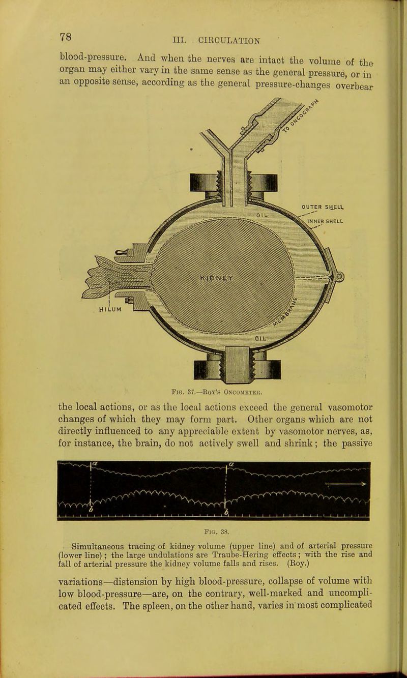 blood-pressure. And when the nerves are intact the volume of the organ may either vary in the same sense as the general pressure, or in an opposite sense, according as the general pressure-changes overbear Fig. 37.—Hov's Oxco.MJiTKJi. the local actions, or as the local actions exceed the general vasomotor changes of which they may form part. Other organs which are not directly influenced to any appreciable extent by vasomotor nerves, as, for instance, the brain, do not actively swell and shrink; the passive Fig. 38. Simultaneous tracing of kidney volume (upper line) and of arterial pressure (lower line); the large undulations are Traube-Hering effects; with the rise and tall of arterial pressure the kidney volume falls and rises. (Koy.) variations—distension by high blood-pressure, collapse of volume with low blood-pressure—are, on the contrary, well-marked and uncompli- cated effects. The spleen, on the other hand, varies in most complicated
