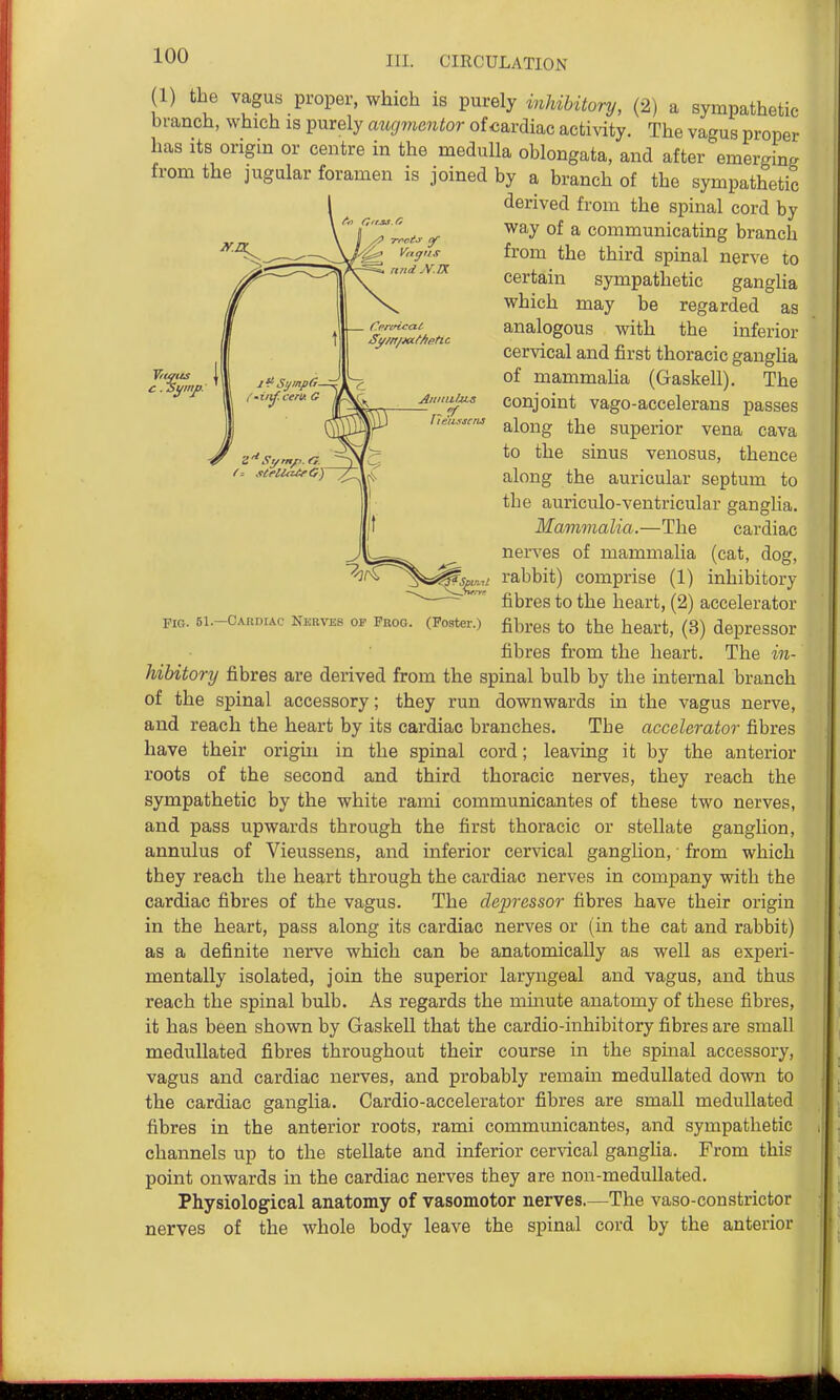 1) the vagus proper, which is purely inhibitory, (2) a sympathetic branch, which is purely augvientor of cardiac activity. The vagus proper has Its origin or centre in the medulla oblongata, and after emerging from the jugular foramen is joined by a branch of the sympathetic derived from the spinal cord by \ Cprtncat Sym/Mcffietic AiiinilzLs r/ FIG. 51.—Cardiac Nerves op Frog. (Foster.) way of a communicating branch from the third spinal nerve to certain sympathetic ganglia which may be regarded as analogous with the inferior cer%dcal and first thoracic gangUa of mammaUa (Gaskell). The conjoint vago-accelerans passes along the superior vena cava to the sinus venosus, thence along the auricular septum to the auriculo-ventricular ganglia. Mammalia.—The cardiac nerves of mammalia (cat, dog, rabbit) comprise (1) inhibitory fibres to the heart, (2) accelerator fibres to the heart, (3) depressor fibres from the heart. The in- hihitory fibres are derived from the spinal bulb by the internal branch of the spinal accessory; they run downwards in the vagus nerve, and reach the heart by its cardiac branches. The accelerator fibres have their origin in the spinal cord; leaving it by the anterior roots of the second and third thoracic nerves, they reach the sympathetic by the white rami communicantes of these two nerves, and pass upwards through the first thoracic or stellate ganglion, annulus of Vieussens, and inferior cervical ganglion, • from which they reach the heart through the cardiac nerves in company with the cardiac fibres of the vagus. The depressor fibres have their origin in the heart, pass along its cardiac nerves or (in the cat and rabbit) as a definite nerve which can be anatomically as well as experi- mentally isolated, join the superior laryngeal and vagus, and thus reach the spinal bulb. As regards the mmute anatomy of these fibres, it has been shown by Gaskell that the cardio-inhibitory fibres are small meduUated fibres throughout their course in the spmal accessory, vagus and cardiac nerves, and probably remam medullated down to the cardiac ganglia. Cardio-accelerator fibres are small medullated fibres in the anterior roots, rami communicantes, and sympathetic channels up to the stellate and inferior cervical gangha. From this point onwards in the cardiac nerves they are non-medullated. Physiological anatomy of vasomotor nerves.—The vaso-constrictor nerves of the whole body leave the spinal cord by the anterior