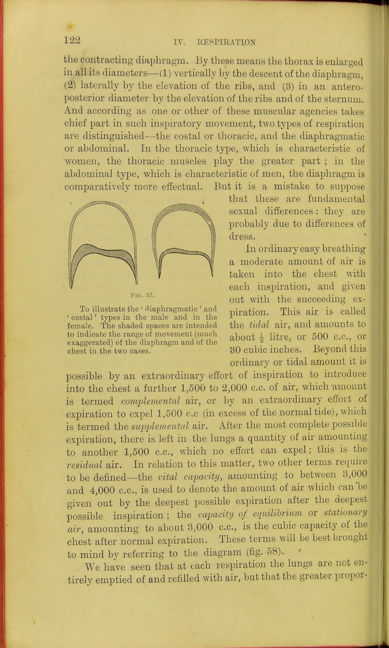 the contracting diaphragm. By these means the thorax is enlarged in all its diameters—(1) vertically hy the descent of the diaphragm, (2) laterally by the elevation of the ribs, and (3) in an antero- posterior diameter by the elevation of the ribs and of the sternum. And according as one or other of these muscular agencies takes chief part in such inspiratory movement, two types of respiration are distinguished—the costal or thoracic, and the diaphragmatic or abdominal. In the thoracic type, which is characteristic of women, the thoracic muscles play the greater part ; in the abdominal type, which is characteristic of men, the diaphragm is comparatively more effectual. But it is a mistake to suppose that these are fundamental sexual differences: they are probably due to differences of dress. In ordinary easy breathing a moderate amount of air is taken into the chest with each inspiration, and given out with the succeeding ex- piration. This air is called the tidal air, and amounts to about ^ litre, or 500 c.c, or 80 cubic inches. Beyond this ordinary or tidal amount it is possible by an extraordinary effort of inspiration to introduce into the chest a further 1,500 to 2,000 c.c. of an.-, which amount is termed complemental air, or by an extraordinary effort of expiration to expel 1,500 c.c (in excess of the normal tide), which is termed the siqjpleinental air. After the most complete possible expiration, there is left in the lungs a quantity of air amounting to another 1,500 c.c, which no effort can expel; this is the residual air. In relation to this matter, two other terms require to be defined—the vital ccqMcity, amounting to between 3,000 and 4,000 c.c, is used to denote the amount of air which can'be given out by the deepest possible expiration after the deepest possible inspiration ; the cajjacity of equilibrium or stationary air, amounting to about 3,000 c.c, is the cubic capacity of the chest after normal expiration. These terms will be best brought to mind by referring to the diagram (tig. 58). ' We have seen that at each respiration the lungs are not en- tirely emptied of and refiUed with air, but that the greater propor- Via. 57. To illustrate the ' diaphragmatic ' and ' costal' types in the male and in the female. The shaded spaces are intended to indicate the range of movement (much exaggerated) of the diaphragm and of the chest in the two cases.