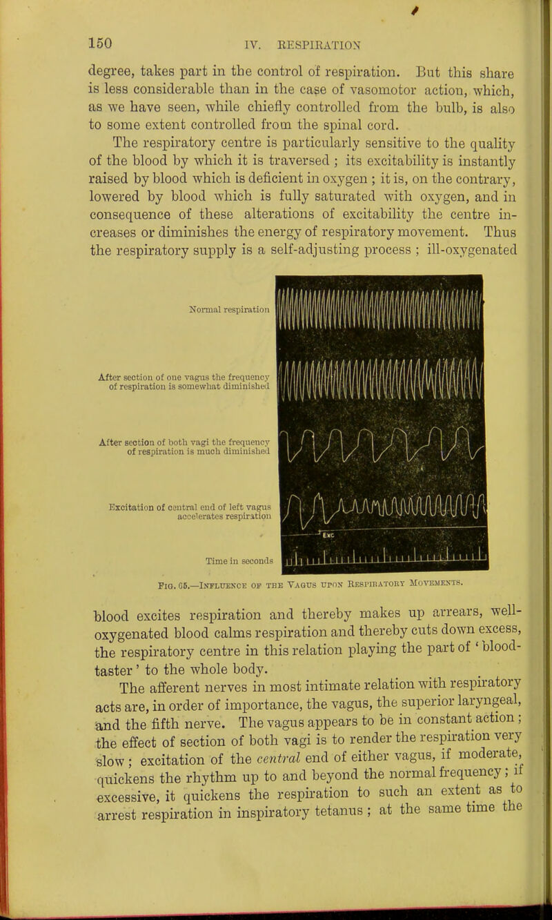 degree, takes part in the control of respiration. But this share is less considerable than in the cape of vasomotor action, which, as we have seen, while chiefly controlled from the bulb, is also to some extent controlled from the spinal cord. The respiratory centre is particularly sensitive to the quality of the blood by which it is traversed ; its excitability is instantly raised by blood which is deficient in oxygen ; it is, on the contrary, lowered by blood which is fully saturated with oxygen, and in consequence of these alterations of excitability the centre in- creases or diminishes the energy of respiratory movement. Thus the respiratory supply is a self-adjusting process ; ill-oxygenated Normal respiration After section of one vagus the frequency of respiration is somewhat diminished After section of both vagi the frequency of respiration is much diminished Excitation of central end of left vagus accelerates respiration Time in seconds FlQ. G6.—lOTLITENCE OF THE YAGUS UPOS RKSPIBATORY MoTOMENUS. blood excites respiration and thereby makes up arrears, well- oxygenated blood calms respiration and thereby cuts down excess, the respiratory centre in this relation playing the part of ' blood- taster ' to the whole body. The afferent nerves in most intimate relation with respiratory acts are, in order of importance, the vagus, the superior laryngeal, and the fifth nerve. The vagus appears to be in constant action ; the effect of section of both vagi is to render the respiration very slow; excitation of the central end of either vagus, if moderate, •quickens the rhythm up to and beyond the normal frequency; if excessive, it quickens the respiration to such an extent as to arrest respiration in inspiratory tetanus ; at the same time the