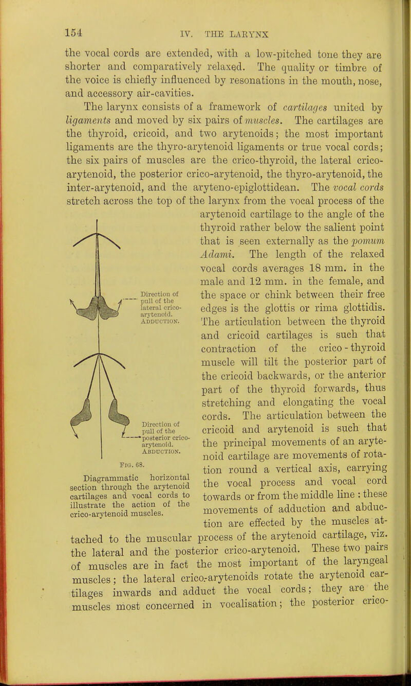 the vocal cords are extended, with a low-pitched tone they are shorter and comparatively relaxed. The quality or timbre of the voice is chiefly influenced by resonations in the mouth, nose, and accessory air-cavities. The larynx consists of a framework of cartilages united by ligaments and moved by six pairs of iimscles. The cartilages are the thyroid, cricoid, and two arytenoids; the most important ligaments are the thyro-arytenoid ligaments or true vocal cords; the six pairs of muscles are the crico-thyroid, the lateral crico- arytenoid, the posterior crico-arytenoid, the thyro-arytenoid, the inter-arytenoid, and the aryteno-epiglottidean. The vocal cords stretch across the top of the larynx from the vocal process of the arytenoid cartilage to the angle of the thyroid rather below the salient point that is seen externally as the -pomum Adami. The length of the relaxed vocal cords averages 18 mm. in the male and 12 mm. in the female, and ^ —- the space or chink between their free \ iff^ A pull of the ^ . . 1 .i-T V^B^^ lateral crico- edges is the glottis or rima glottidis. ^^BBS arytenoid.  i , i • j The articulation between the thyroid and cricoid cartilages is such that contraction of the crico-thyroid muscle will tilt the posterior part of the cricoid backwards, or the anterior part of the thyroid forwards, thus stretching and elongating the vocal cords. The articulation between the cricoid and arytenoid is such that the principal movements of an aryte- noid cartilage are movements of rota- tion round a vertical axis, carrying the vocal process and vocal cord towards or from the middle line : these movements of adduction and abduc- tion are effected by the muscles at- tached to the muscular process of the arytenoid cartHage, viz. the lateral and the posterior crico-arytenoid. These two pan-s of muscles are in fact the most important of the laryngeal muscles; the lateral crico.-arytenoids rotate the arytenoid car- tilages inwards and adduct the vocal cords; they are the muscles most concerned in vocalisation; the posterior crico- Direction of pull of the —posterior crico- arytenoid. Abduction. Fiii. 68. Diagrammatic horizontal section through the arytenoid cartilages and vocal cords to illustrate the action of the crico-arytenoid muscles.