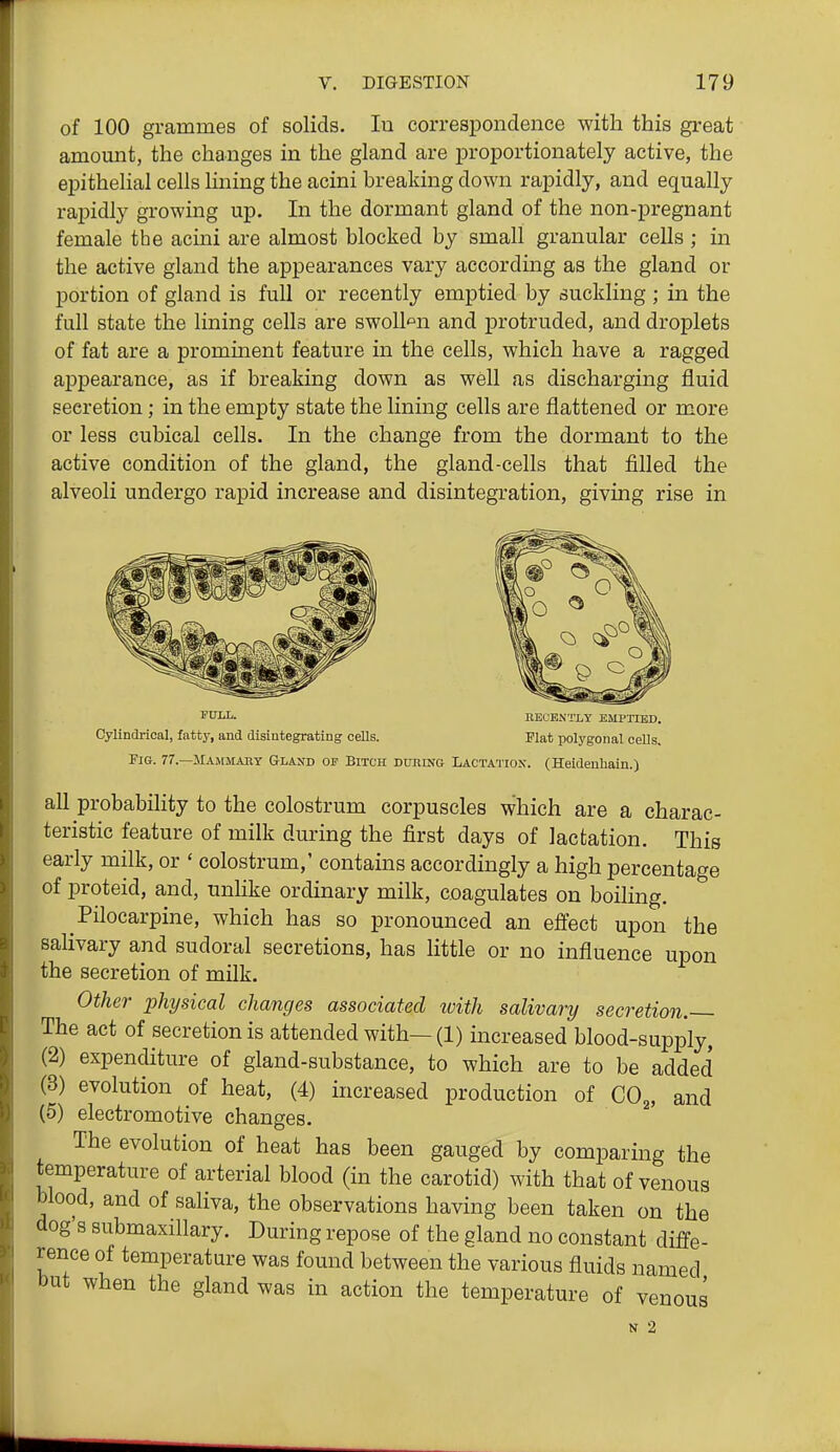of 100 grammes of solids. lu correspondence with this great amomit, the changes in the gland are proportionately active, the epithelial cells lining the acini breaking down rapidly, and equally rapidly growing up. In the dormant gland of the non-pregnant female the acmi are almost blocked by small granular cells ; in the active gland the appearances vary according as the gland or portion of gland is full or recently emptied by suckling ; in the full state the lining cells are swollen and protruded, and droplets of fat are a prominent feature in the cells, which have a ragged appearance, as if breaking down as well as discharging fluid secretion; in the empty state the linmg cells are flattened or more or less cubical cells. In the change from the dormant to the active condition of the gland, the gland-cells that filled the alveoli undergo rapid increase and disintegration, giving rise in 'BTTLL. RECENTLY EMPTIED. Cylindrical, fatty, and disintegrating cells. Flat polygonal cells. Fig. 77.—Mammary Gland of Bitch during Lactation. (Heideuhain.) all probabihty to the colostrum corpuscles which are a charac- teristic feature of milk during the first days of lactation. This early milk, or ' colostrum,' contams accordingly a high percentage of proteid, and, unlike ordinary milk, coagulates on boiling. Pilocarpine, which has so pronounced an effect upon the salivary and sudoral secretions, has little or no influence upon the secretion of milk. Other physical changes associated ivith salivary secretion. The act of secretion is attended with—(1) increased blood-supply, (2) expenditure of gland-substance, to which are to be added (3) evolution of heat, (4) increased production of CO^, and (5) electromotive changes. The evolution of heat has been gauged by comparing the temperature of arterial blood (in the carotid) with that of venous blood, and of saliva, the observations having been taken on the dog's submaxillary. During repose of the gland no constant diffe- rence of temperature was found between the various fluids named but when the gland was in action the temperature of venous N 2