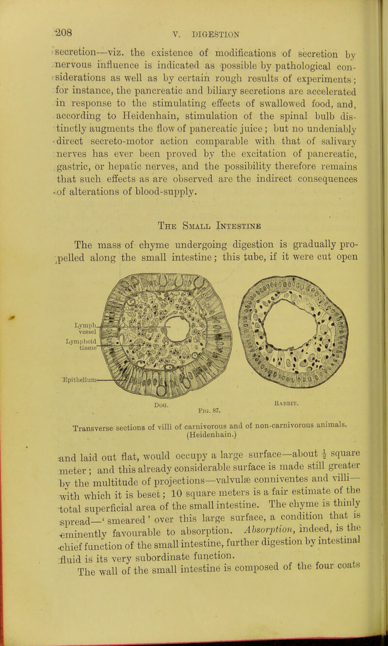 ■208 secretion—viz. the existence of modifications of secretion by nervous influence is indicated as possible by pathological con- siderations as well as by certain rough results of experiments; for instance, the pancreatic and biliary secretions are a.ccelerated in response to the stimulating effects of swallowed food, and, according to Heidenhain, stimulation of the spinal bulb dis- tinctly augments the flow of pancreatic juice; but no undeniably •direct secreto-motor action comparable with that of salivary nerves has ever been proved by the excitation of pancreatic, , gastric, or hepatic nerves, and the possibility therefore remains that such effects as are observed are the indirect consequences ♦ of alterations of blood-supply. The Small Intestine The mass of chyme undergoing digestion is gradually pro- spelled along the small intestine; this tube, if it were cut open Lymph, |^g^^fi.jiV'- / lii>r'%pi vessel Lymphoid tissue' TSpitheliiim. Doo. Rabbit. Fi«. 87. Transverse sections of villi of carnivorous and of non-carnivorous animals. (Heidenhain.) :and laid out flat, would occupy a large surface—about ^ square meter ; and this already considerable surface is made still greater by the multitude of projections—valvulfe conniventes and vilh— with which it is beset; 10 square meters is a fair estimate of the •total superficial area of the small intestine. The chyme is thmly spread—'smeared' over this large surface, a condition that is eminently favourable to absorption. Absorption, mdeed, is the •chief function of the small intestine, further digestion by mtestinal fluid is its very subordinate function. The wall of the small intestine is composed of the four coats