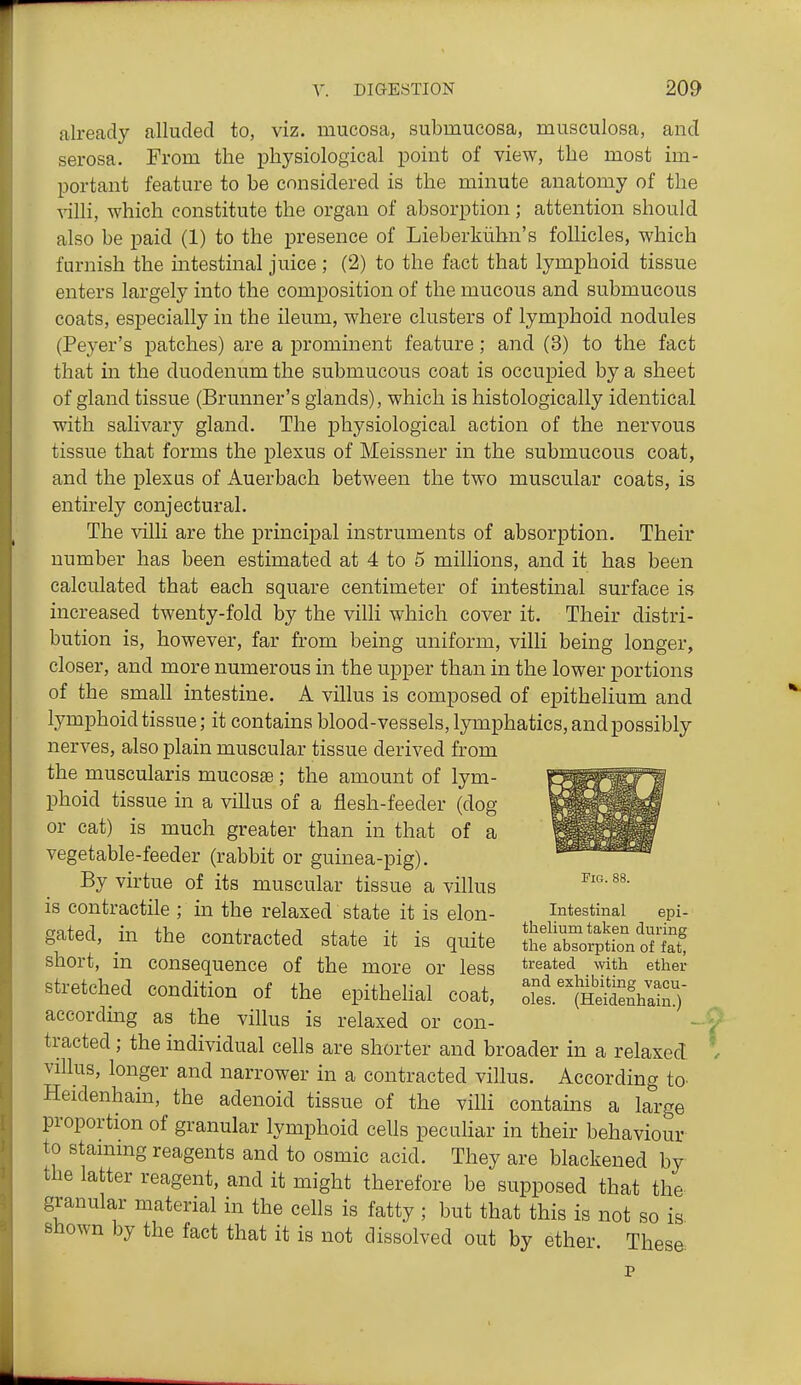 already alluded to, viz. mucosa, submucosa, musculosa, and serosa. From the physiological point of view, the most im- portant feature to be considered is the minute anatomy of the villi, which constitute the organ of absorption; attention should also be paid (1) to the presence of Lieberkiihn's follicles, which furnish the intestinal juice ; (2) to the fact that lymphoid tissue enters largely into the composition of the mucous and submucous coats, especially in the ileum, where clusters of lymphoid nodules (Peyer's patches) are a prominent feature; and (3) to the fact that in the duodenum the submucous coat is occupied by a sheet of gland tissue (Brunner's glands), which is histologically identical with salivary gland. The physiological action of the nervous tissue that forms the plexus of Meissner in the submucous coat, and the plexus of Auerbach between the two muscular coats, is entirely conjectural. The villi are the j)rincipal instruments of absorption. Their number has been estimated at 4 to 5 millions, and it has been calculated that each square centimeter of intestinal surface is increased twenty-fold by the villi which cover it. Their distri- bution is, however, far from being uniform, villi being longer, closer, and more numerous in the upper than in the lower portions of the small intestine. A villus is composed of epithelium and lymphoid tissue; it contains blood-vessels, lymphatics, and possibly nerves, also plain muscular tissue derived from the muscularis mucosas; the amount of lym- phoid tissue in a villus of a flesh-feeder (dog or cat) is much greater than in that of a vegetable-feeder (rabbit or guinea-pig). By virtue of its muscular tissue a villus is contractile ; in the relaxed state it is elon- intestinal epi- gated, in the contracted state it is quite IL^^rofptnoflaT short, in consequence of the more or less treated with ether stretched condition of the epithelial coat, oTellSnVaiM accordmg as the villus is relaxed or con- tracted ; the individual cells are shorter and broader in a relaxed villus, longer and narrower in a contracted villus. According to- Heidenhain, the adenoid tissue of the villi contains a large proportion of granular lymphoid cells peculiar in their behaviour to stammg reagents and to osmic acid. They are blackened by the latter reagent, and it might therefore be supposed that the granular material in the cells is fatty ; but that this is not so is shown by the fact that it is not dissolved out by ether These