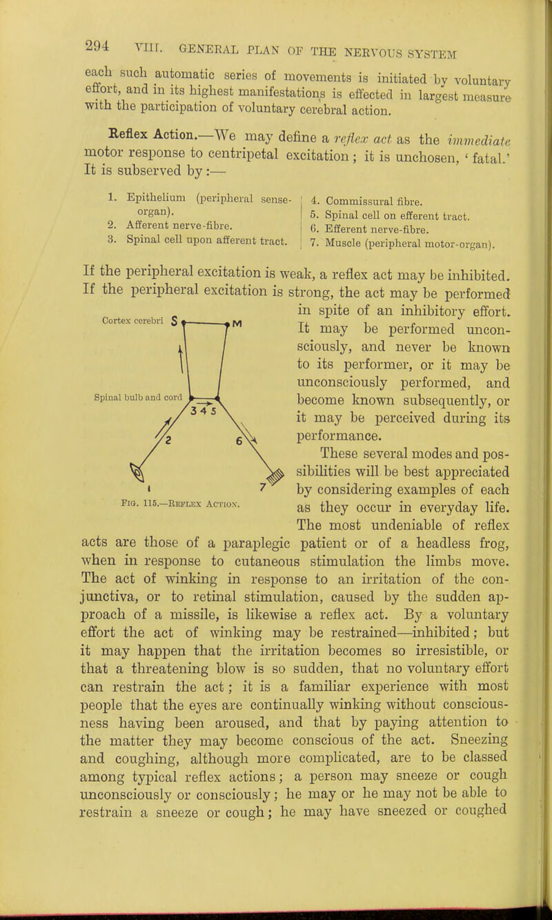 each such automatic series of movements is initiated by voluntary eflort, and ni its highest manifestations is effected in largest measure with the ijarticipation of voluntary cerebral action. Reflex Action.—We may define a reflex act as the immediate motor response to centripetal excitation ; it is unchosen, ' fatal.' It is subserved by:— 1. Epithelium (peripheral sense- organ). 2. Afferent nerve-fibre. 3. Spinal cell upon afferent tract. 4. Commissural fibre. 5. Spinal cell on efferent tract. 6. Efferent nerve-fibre. 7. Muscle (peripheral motor-organ). Cortex cerebri S Spinal bulb and cord Fia. 115.—EbfIxEx Acrio.v. If the peripheral excitation is weak, a reflex act may be inhibited. If the peripheral excitation is strong, the act may be performed in spite of an inhibitory effort. It may be performed uncon- sciously, and never be known to its performer, or it may be unconsciously performed, and become known subsequently, or it may be perceived during its performance. These several modes and pos- sibilities will be best appreciated by considering examples of each as they occur in everyday life. The most undeniable of reflex acts are those of a paraplegic patient or of a headless frog, when in response to cutaneous stimulation the limbs move. The act of winking in response to an irritation of the con- junctiva, or to retinal stimulation, caused by the sudden ap- proach of a missile, is likewise a reflex act. By a voluntary effort the act of winking may be restrained—inhibited; but it may happen that the irritation becomes so irresistible, or that a threatening blow is so sudden, that no voluntary effort can restrain the act; it is a familiar experience with most people that the eyes are continually winking without conscious- ness having been aroused, and that by paying attention to the matter they may become conscious of the act. Sneezing and coughing, although more complicated, are to be classed among typical reflex actions; a person may sneeze or cough unconsciously or consciously; he may or he may not be able to restrain a sneeze or cough; he may have sneezed or coughed