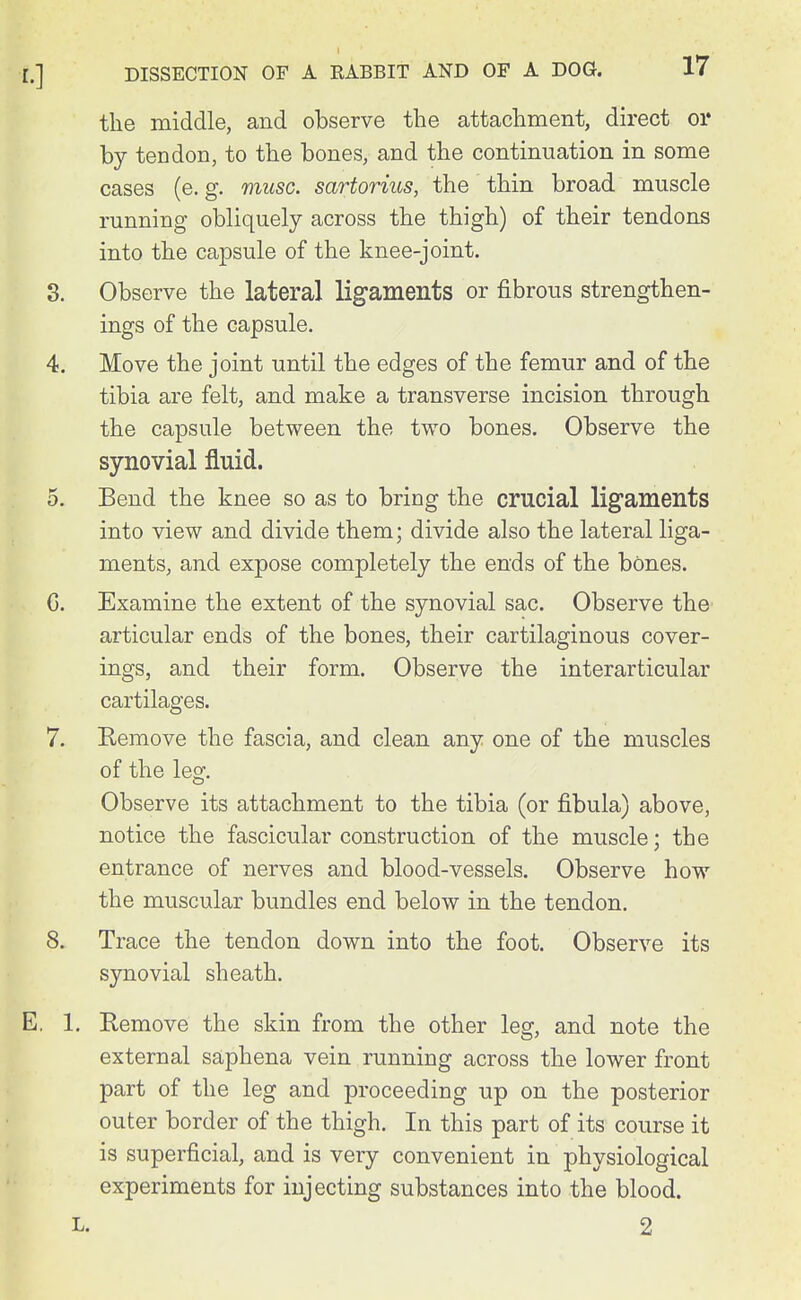 the middle, and observe the attachment, direct or by tendon, to the bones, and the continuation in some cases (e. g. muse, sartorius, the thin broad muscle running obliquely across the thigh) of their tendons into the capsule of the knee-joint. 3. Observe the lateral ligaments or fibrous strengthen- ings of the capsule. 4. Move the joint until the edges of the femur and of the tibia are felt, and make a transverse incision through the capsule between the two bones. Observe the synovial fluid. 5. Bend the knee so as to bring the crucial lig'aments into view and divide them; divide also the lateral liga- ments, and expose completely the ends of the bones. G. Examine the extent of the synovial sac. Observe the articular ends of the bones, their cartilaginous cover- ings, and their form. Observe the interarticular cartilages. 7. Remove the fascia, and clean any one of the muscles of the leg. Observe its attachment to the tibia (or fibula) above, notice the fascicular construction of the muscle; the entrance of nerves and blood-vessels. Observe how the muscular bundles end below in the tendon. 8. Trace the tendon down into the foot. Observe its synovial sheath. E, 1, Remove the skin from the other leg, and note the external saphena vein running across the lower front part of the leg and proceeding up on the posterior outer border of the thigh. In this part of its course it is superficial, and is very convenient in physiological experiments for injecting substances into the blood. L. 2