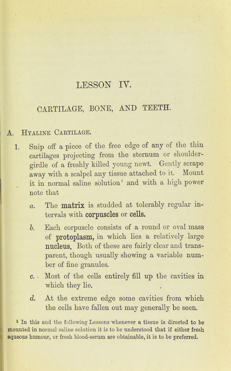 CAETILAGE, BONE, AND TEETH. A. Hyaline Caktilage. 1, Snip off a piece of the free edge of any of the thin cartilages projecting from the sternum or shoulder- girdle of a freshly killed young newt. Gently scrape away with a scalpel any tissue attached to it. Mount it in normal saline solution' and with a high power note that a. The matrix is studded at tolerably regular in- tervals with corpuscles or cells. h. Each corpuscle consists of a round or oval mass of protoplasm, in which lies a relatively large nucleus. Both of these are fairly clear and trans- parent, though usually showing a variable num- ber of fine granules. c. Most of the cells entirely fill up the cavities in which they lie. d. At the extreme edge some cavities from which the cells have fallen out may generally be seen. 1 In this and the following Lessons -whenever a tissue is directed to be mounted in normal saline solution it is to be understood that if either fresh aqueous humour, or fresh blood-serum are obtainable, it is to be preferred.
