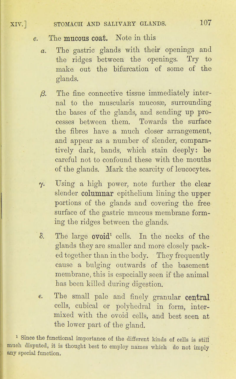 e. The mucous coat. Note in this a. The gastric glands with their openings and the ridges between the openings. Try to make out the bifurcation of some of the glands. /S. The fine connective tissue immediately inter- nal to the muscularis mucosae, surrounding the bases of the glands, and sending up pro- cesses between them. Towards the surface the fibres have a much closer arrangement, and appear as a number of slender, compara- tively dark, bands, which stain deeply: be careful not to confound these with the mouths of the glands. Mark the scarcity of leucocytes. 7. Using a high power, note further the clear slender columnar epithelium lining the upper portions of the glands and covering the free surface of the gastric mucous membrane form- ing the ridges between the glands. The large ovold^ cells. In the necks of the glands they are smaller and more closely pack- ed together than in the body. They frequently cause a bulging outwards of the basement membrane, this is especially seen if the animal has been killed during digestion. e. The small pale and finely granular central cells, cubical or polyhedral in form, inter- mixed with the ovoid cells, and best seen at the lower part of the gland. 1 Since the functional importance of the different kinds of cells is still much disputed, it is thought best to employ names which do not imply any special function.