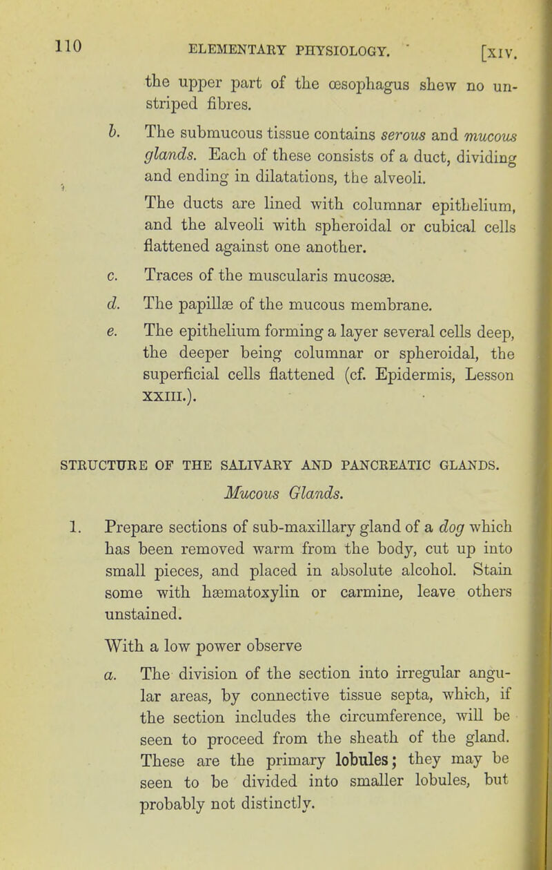 the upper part of tiie oesophagus shew no un- striped fibres. h. The submucous tissue contains serous and mucous glands. Each of these consists of a duct, dividing and ending in dilatations, the alveoli. The ducts are lined with columnar epithelium, and the alveoli with spheroidal or cubical cells flattened against one another. c. Traces of the muscularis mucosae. d. The papillae of the mucous membrane. e. The epithelium forming a layer several cells deep, the deeper being columnar or spheroidal, the superficial cells flattened (cf. Epidermis, Lesson XXIII.). STRUCTURE OF THE SALIVARY AND PANCREATIC GLANDS. Mucous Glands. 1. Prepare sections of sub-maxillary gland of a dog which has been removed warm from the body, cut up into small pieces, and placed in absolute alcohol. Stain some with hsematoxylin or carmine, leave others unstained. With a low power observe a. The division of the section into irregular angu- lar areas, by connective tissue septa, which, if the section includes the circumference, will be seen to proceed from the sheath of the gland. These are the primary lobules; they may be seen to be divided into smaller lobules, but probably not distinctly.