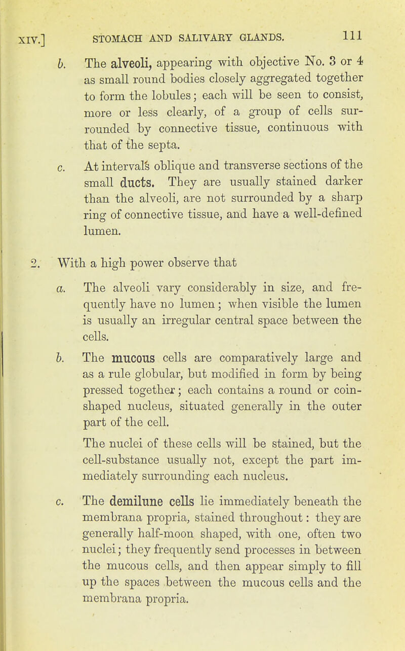 b. The alveoli, appearing with objective No. 3 or 4 as small round bodies closely aggregated together to form the lobules; each will be seen to consist, more or less clearly, of a group of cells sur- rounded by connective tissue, continuous with that of the septa. c. At intervals oblique and transverse sections of the small ducts. They are usually stained darker than the alveoli, are not surrounded by a sharp ring of connective tissue, and have a well-defined lumen. With a high power observe that a. The alveoli vary considerably in size, and fre- quently have no lumen; when visible the lumen is usually an irregular central space between the cells. b. The mucous cells are comparatively large and as a rule globular, but modified in form by being pressed together; each contains a round or coin- shaped nucleus, situated generally in the outer part of the cell. The nuclei of these cells will be stained, but the cell-substance usually not, except the part im- mediately surrounding each nucleus. c. The demilune cells lie immediately beneath the membrana propria, stained throughout: they are generally half-moon shaped, with one, often two nuclei; they frequently send processes in between the mucous cells, and then appear simply to fill up the spaces between the mucous cells and the membrana propria.
