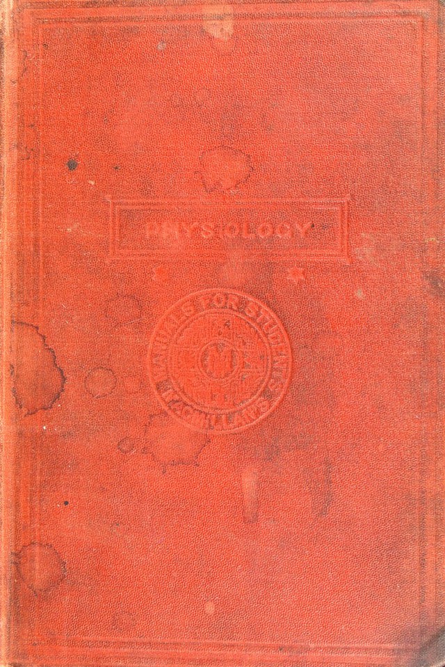 No text description is available for this image