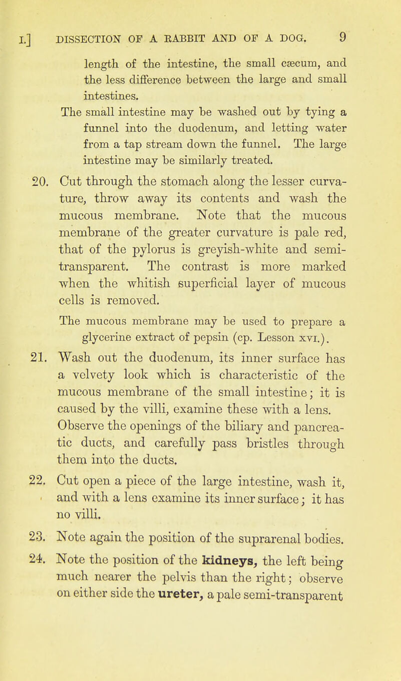 length of the intestine, the small caecum, and the less difference between the large and small intestines. The small intestine may be washed out by tying a funnel into the duodenum, and letting water from a tap stream down the funnel. The large intestine may be similarly treated. 20. Cut through the stomach along the lesser curva- ture, throw away its contents and wash the mucous membrane. Note that the mucous membrane of the greater curvature is pale red, that of the pylorus is greyish-white and semi- transparent. The contrast is more marked when the whitish superficial layer of mucous cells is removed. The mucous membrane may be used to prepare a glycerine extract of pepsin (cp. Lesson xvi.). 21. Wash out the duodenum, its inner surface has a velvety look which is characteristic of the mucous membrane of the small intestine; it is caused by the villi, examine these with a lens. Observe the openings of the biliary and pancrea- tic ducts, and carefully pass bristles through them into the ducts. 22. Cut open a piece of the large intestine, wash it, ■ and with a lens examine its inner surface; it has no villi. 23. Note again the position of the suprarenal bodies. 24. Note the position of the kidneys, the left being much nearer the pelvis than the right; observe on either side the ureter, a pale semi-transparent