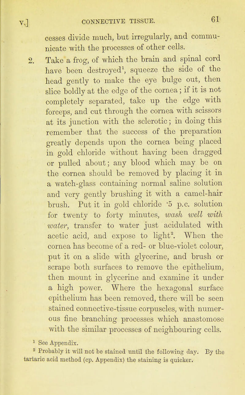 cesses divide much, but irregularly, and commu- nicate with the processes of other cells. 2. Take a frog, of which the brain and spinal cord have been destroyed\ squeeze the side of the head gently to make the eye bulge out, then slice boldly at the edge of the cornea; if it is not completely separated, take up the edge with forceps, and cut through the cornea with scissors at its junction with the sclerotic; in doing this remember that the success of the preparation greatly depends upon the cornea being placed in gold chloride without having been dragged or pulled about; any blood which may be on the cornea should be removed by placing it in a watch-glass containing normal saline solution and very gently brushing it with a camel-hair brush. Put it in gold chloride 5 p.c. solution for twenty to forty minutes, wash well with water, transfer to water just acidulated with acetic acid, and expose to light^ When the cornea has become of a red- or blue-violet colour, put it on a slide with glycerine, and brush or scrape both surfaces to remove the epithelium, then mount in glycerine and examine it under a high power. Where the hexagonal surface epithelium has been removed, there will be seen stained connective-tissue corpuscles, with numer- ous fine branching processes which anastomose with the similar processes of neighbouring cells. ^ See Appendix. 2 Probably it will not be stained until the following day. By the tartaric acid method (cp. Appendix) the staining is quicker.