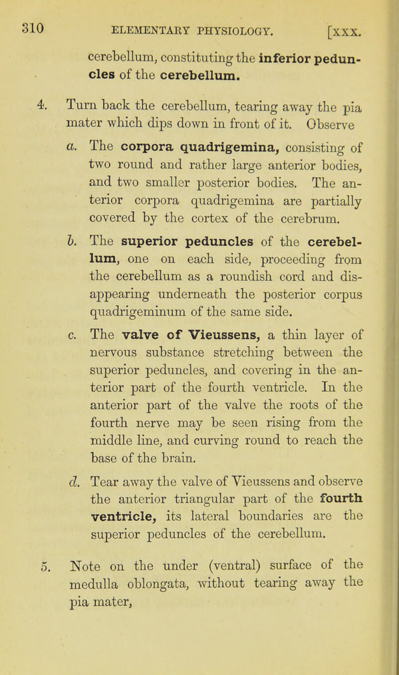 cerebellum, constituting the inferior pedun- cles of the cerebellum. Turn back the cerebellum, tearing away the pia mater which dips down in front of it. Observe a. The corpora quadrigemina, consisting of two round and rather large anterior bodies, and two smaller posterior bodies. The an- terior corpora quadrigemina are partially covered by the cortex of the cerebrum. h. The superior peduncles of the cerebel- lum, one on each side, proceeding from the cerebellum as a roundish cord and dis- appearing underneath the posterior corpus quadrigeminum of the same side. c. The valve of Vieussens, a thin layer of nervous substance stretching between the superior peduncles, and covering in the an- terior part of the fourth ventricle. In the anterior part of the valve the roots of the fourth nerve may be seen rising from the middle line, and curving round to reach the base of the brain. d. Tear away the valve of Yieussens and observe the anterior triangular part of the fourth ventricle, its lateral boundaries are the superior peduncles of the cerebellum. Note on the under (ventral) surface of the medulla oblongata, without teaiing away the pia mater,