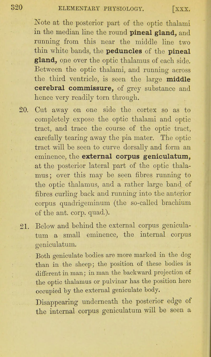 Note at the posterior part of the optic thalami in the median line the round pineal gland^ and running from this near the middle line two thin white bands, the peduncles of the pineal gland; one over the optic thalamus of each side. Between the optic thalami, and running across the third ventricle, is seen the large middle cerebral commissure, of grey substance and hence very readily torn through. 20. Cut away on one side the cortex so as to completely expose the optic thalami and optic tract, and trace the course of the optic tract, carefully tearing away the pia mater. The optic tract will be seen to curve dorsally and form an eminence, the external corpus geniculatum, at the posterior lateral part of the optic thala- mus; over this may be seen fibres running to the optic thalamus, and a rather large band of fibres curling back and running into the anterior corpus quadrigeminum (the so-called brachium of the ant. corp. quad.). 21. Below and behind the external corpus genicula- tum a small eminence, the internal corpus geniculatum. Both geniculate bodies are more marked in the dog than in the sheep; the position of these bodies is different in man; in man the backward projection of the optic thalamus or pulvinar has the position here occupied by the external geniculate body. Disappearing underneath the posterior edge of the internal corpus geniculatum will be seen a