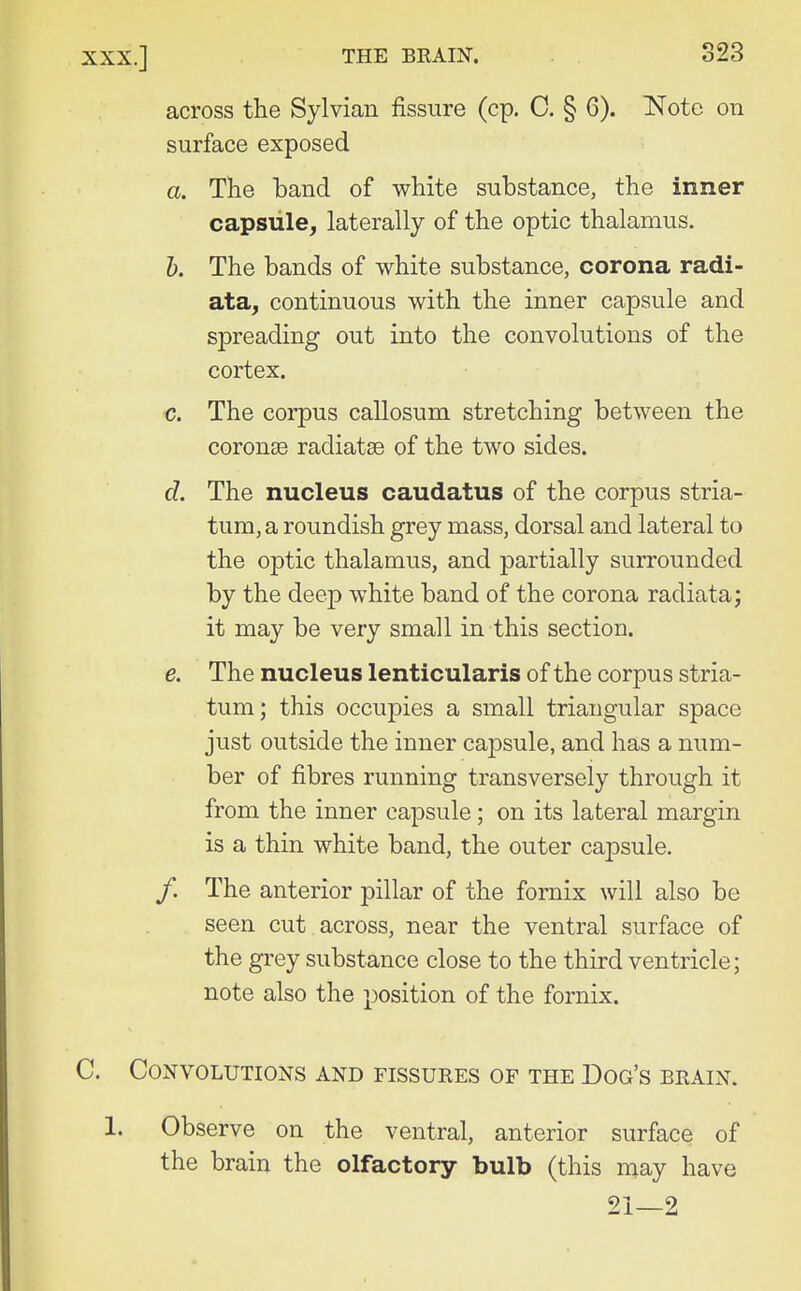 across the Sylvian fissure (cp. C. § 6). Note on surface exposed a. The hand of white suhstance, the inner capsule, laterally of the optic thalamus. h. The bands of white substance, corona radi- ata, continuous with the inner capsule and spreading out into the convolutions of the cortex. c. The corpus callosum stretching between the coronse radiatse of the two sides. d. The nucleus caudatus of the corpus stria- tum, a roundish grey mass, dorsal and lateral to the optic thalamus, and partially surrounded by the deep white band of the corona radiata; it may be very small in this section. e. The nucleus lenticularis of the corpus stria- tum; this occupies a small triangular space just outside the inner capsule, and has a num- ber of fibres running transversely through it from the inner capsule; on its lateral margin is a thin white band, the outer capsule. /, The anterior pillar of the fornix will also be seen cut across, near the ventral surface of the grey substance close to the third ventricle; note also the position of the fornix. C. Convolutions and fissures of the Dog's brain. 1. Observe on the ventral, anterior surface of the brain the olfactory bulb (this may have 21—2