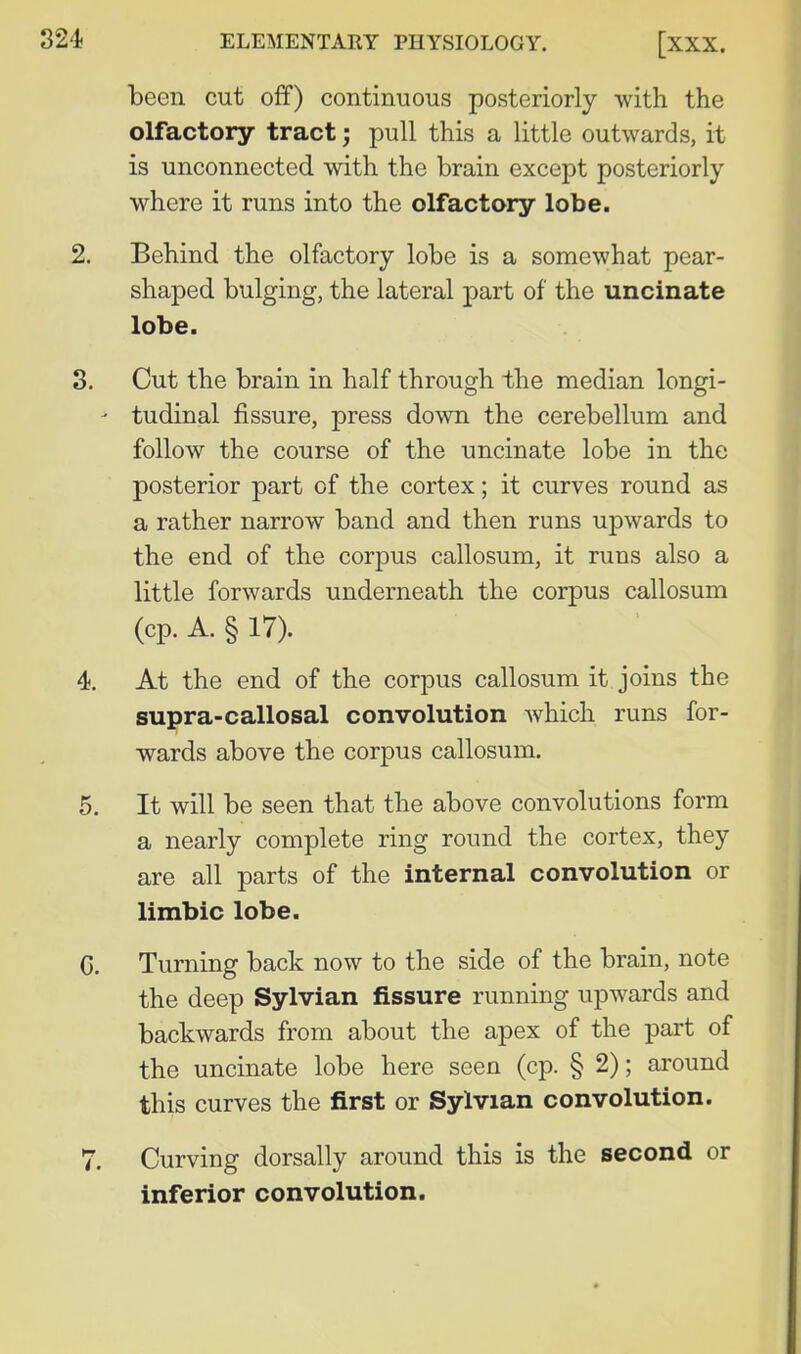 been cut off) continuous posteriorly with the olfactory tract; pull this a little outwards, it is unconnected with the brain except posteriorly where it runs into the olfactory lobe. Behind the olfactory lobe is a somewhat pear- shaped bulging, the lateral part of the uncinate lobe. Cut the brain in half through the median longi- tudinal fissure, press down the cerebellum and follow the course of the uncinate lobe in the posterior part of the cortex; it curves round as a rather narrow band and then runs upwards to the end of the corpus callosum, it runs also a little forwards underneath the corpus callosum (cp. A. § 17). At the end of the corpus callosum it joins the supra-callosal convolution which runs for- wards above the corpus callosum. It will be seen that the above convolutions form a nearly complete ring round the cortex, they are all parts of the internal convolution or limbic lobe. Turning back now to the side of the brain, note the deep Sylvian fissure running upwards and backwards from about the apex of the part of the uncinate lobe here seen (cp. § 2); around this curves the first or Sylvian convolution. Curving dorsally around this is the second or inferior convolution.