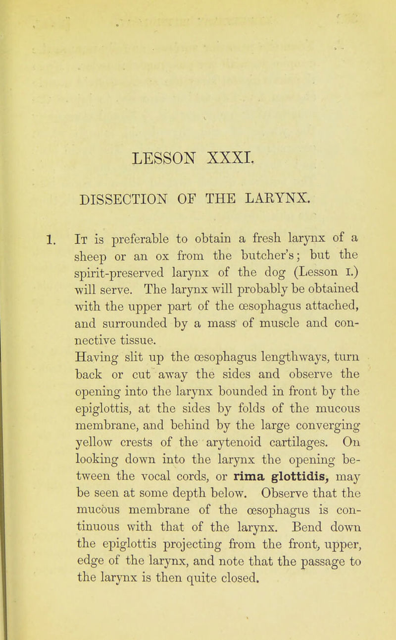 DISSECTION OF THE LARYNX. It is preferable to obtain a fresh larynx of a sheep or an ox from the butcher's; but the spirit-preserved larynx of the dog (I^esson I.) will serve. The larynx will probably be obtained with the upper part of the oesophagus attached, and surrounded by a mass of muscle and con- nective tissue. Having slit up the oesophagus lengthways, turn back or cut away the sides and observe the opening into the larynx bounded in front by the epiglottis, at the sides by folds of the mucous membrane, and behind by the large converging yellow crests of the arytenoid cartilages. On looking down into the larynx the opening be- tween the vocal cords, or rima g^lottidis^ may be seen at some depth below. Observe that the mucous membrane of the oesophagus is con- tinuous with that of the larynx. Bend down the epiglottis projecting from the front, upper, edge of the larynx, and note that the passage to the larynx is then quite closed.