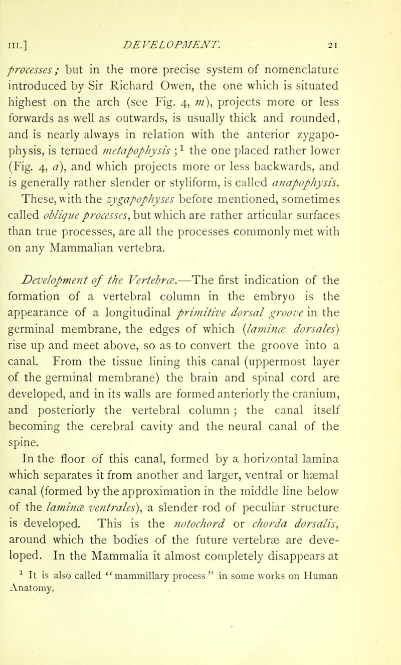 processes; but in the more precise system of nomenclature introduced by Sir Richard Owen, the one which is situated highest on the arch (see Fig. 4, ;;/), projects more or less forwards as well as outwards, is usually thick and rounded, and is nearly always in relation with the anterior zygapo- physis, is termed metapophysis ; ^ the one placed rather lower (Fig. 4, <r), and which projects more or less backwards, and is generally rather slender or styliform, is called anapophysis. These, with the zygapophyses before mentioned, sometimes called oblique processes, but which are rather articular surfaces than true processes, are all the processes commonly met with on any Mammahan vertebra. Development of the VertebrcB.—The first indication of the formation of a vertebral column in the embryo is the appearance of a longitudinal primitive dorsal groove in the germinal membrane, the edges of which (lamina dorsales) rise up and meet above, so as to convert the groove into a canal. From the tissue lining this canal (uppermost layer of the germinal membrane) the brain and spinal cord are developed, and in its walls are formed anteriorly the cranium, and posteriorly the vertebral column ; the canal itself becoming the cerebral cavity and the neural canal of the spine. In the floor of this canal, formed by a horizontal lamina which separates it from another and larger, ventral or hasmal canal (formed by the approximation in the middle line below of the lamincE ventrales), a slender rod of peculiar structure is developed. This is the notochord or chorda dorsalis, around which the bodies of the future vertebrte are deve- loped. In the Mammalia it almost coinpletely disappears at ^ It is also called  mammillary process  in some works on Human Anatomy.