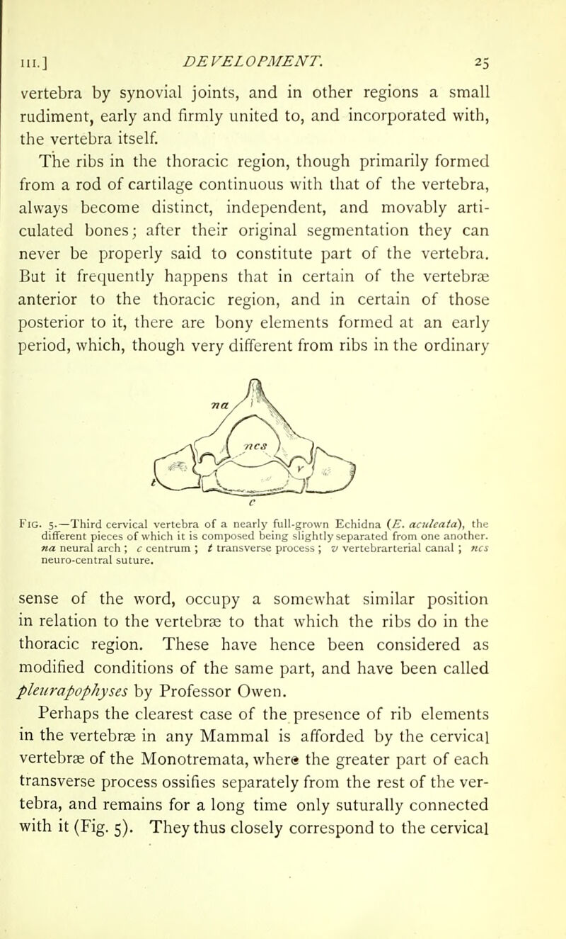 vertebra by synovial joints, and in other regions a small rudiment, early and firmly united to, and incorporated with, the vertebra itself. The ribs in the thoracic region, though primarily formed from a rod of cartilage continuous with that of the vertebra, always become distinct, independent, and movably arti- culated bones; after their original segmentation they can never be properly said to constitute part of the vertebra. But it frequently happens that in certain of the vertebrae anterior to the thoracic region, and in certain of those posterior to it, there are bony elements formed at an early period, which, though very different from ribs in the ordinary c Fig. 5.—Third cervical vertebra of a nearly full-grown Echidna (E. aculeatd), the different pieces of which it is composed being slightly separated from one another. na neural arch , c centrum ; t transverse process ; v vertebrarterial canal ; ties neuro-central suture. sense of the word, occupy a somewhat similar position in relation to the vertebrte to that which the ribs do in the thoracic region. These have hence been considered as modified conditions of the same part, and have been called plenrapophyses by Professor Owen. Perhaps the clearest case of the presence of rib elements in the vertebrae in any Mammal is afforded by the cervical vertebrae of the Monotremata, where the greater part of each transverse process ossifies separately from the rest of the ver- tebra, and remains for a long time only suturally connected with it (Fig. 5). They thus closely correspond to the cervical