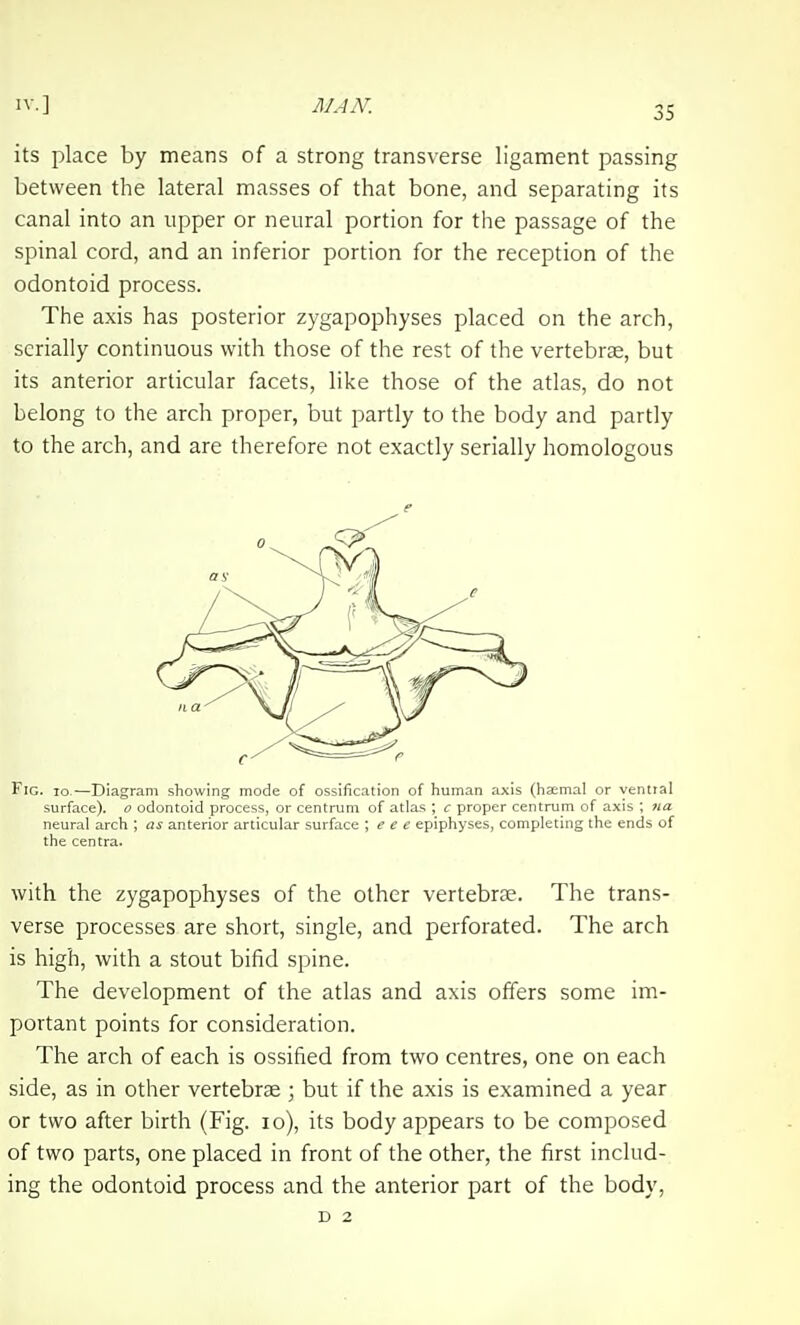 its place by means of a strong transverse ligament passing between the lateral masses of that bone, and separating its canal into an upper or neural portion for the passage of the spinal cord, and an inferior portion for the reception of the odontoid process. The axis has posterior zygapophyses placed on the arch, serially continuous with those of the rest of the vertebrje, but its anterior articular facets, like those of the atlas, do not belong to the arch proper, but partly to the body and partly to the arch, and are therefore not exactly serially homologous e Fig. lo.—Diagram showing mode of ossification of human axis (haemal or ventral surface), o odontoid process, or centrum of atlas ; c proper centrum of axis ; na neural arch ; as anterior articular surface \ e e e epiphyses, completing the ends of the centra. with the zygapophyses of the other vertebrae. The trans- verse processes are short, single, and perforated. The arch is high, with a stout bifid spine. The development of the atlas and axis offers some im- portant points for consideration. The arch of each is ossified from two centres, one on each side, as in other vertebrae ; but if the axis is examined a year or two after birth (Fig. lo), its body appears to be composed of two parts, one placed in front of the other, the first includ- ing the odontoid process and the anterior part of the body, D 2