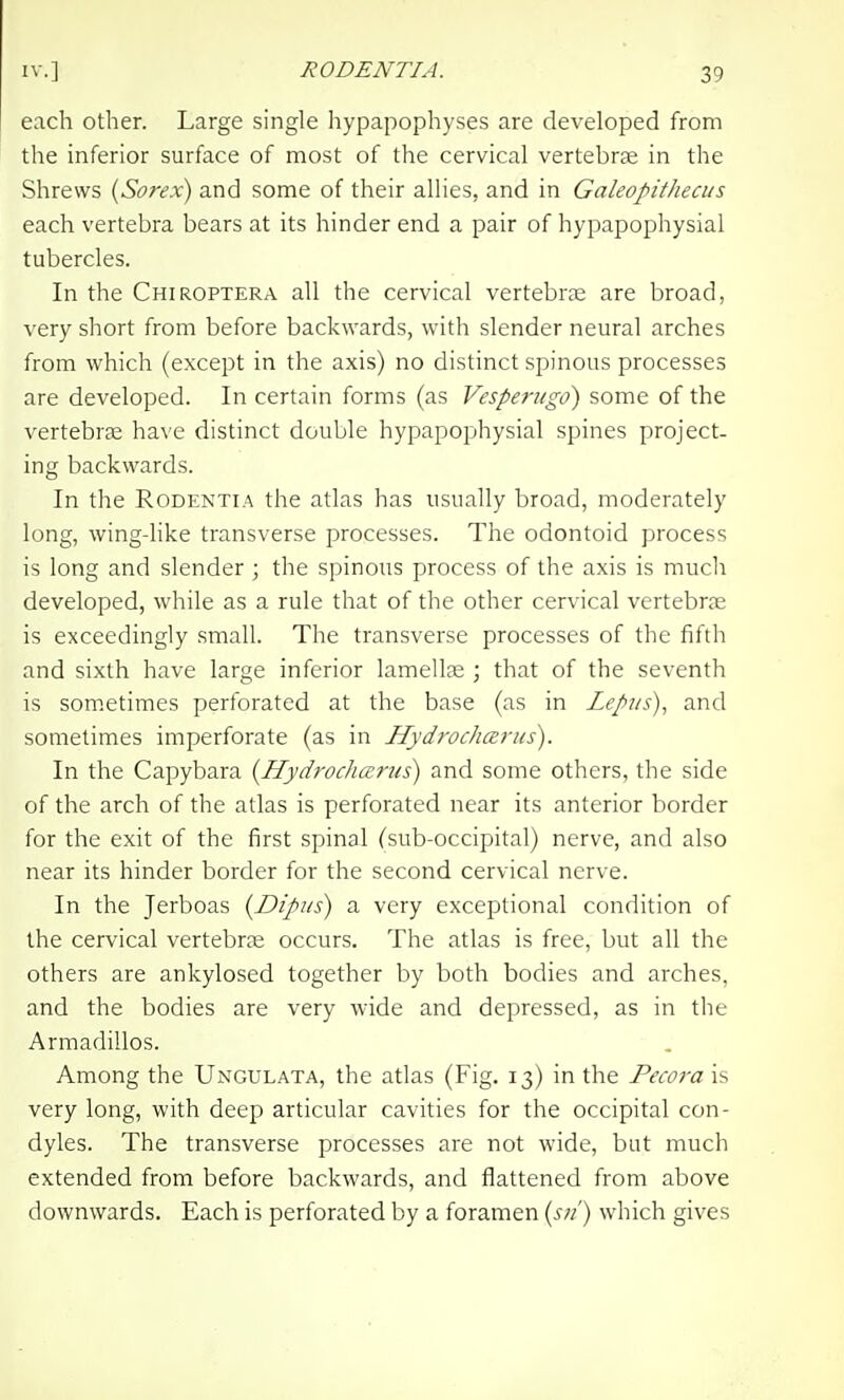 each other. Large single hypapophyses are developed from the inferior surface of most of the cervical vertebrae in the Shrews {Sorex) and some of their allies, and in Galeopithecus each vertebra bears at its hinder end a pair of hypapophysial tubercles. In the Chiroptera all the cervical vertebrje are broad, very short from before backwards, with slender neural arches from which (except in the axis) no distinct spinous processes are developed. In certain forms (as Vespertigd) some of the vertebrjB have distinct double hypapophysial spines project- ing backwards. In the RoDENTiA the atlas has usually broad, moderately long, wing-like transverse processes. The odontoid process is long and slender ; the spinous process of the axis is much developed, while as a rule that of the other cervical vertebrae is exceedingly small. The transverse processes of the fifth and sixth have large inferior lamella; ; that of the seventh is sometimes perforated at the base (as in Lepiis)^ and sometimes imperforate (as in Hydroclmrus). In the Capybara {Hydrocharus) and some others, the side of the arch of the atlas is perforated near its anterior border for the exit of the first spinal (sub-occipital) nerve, and also near its hinder border for the second cervical nerve. In the Jerboas {Dipus) a very exceptional condition of the cervical vertebrae occurs. The atlas is free, but all the others are ankylosed together by both bodies and arches, and the bodies are very wide and depressed, as in the Armadillos. Among the Ungulata, the atlas (Fig. 13) in the Pecora is very long, with deep articular cavities for the occipital con- dyles. The transverse processes are not wide, but much extended from before backwards, and flattened from above downwards. Each is perforated by a foramen {sii) which gives