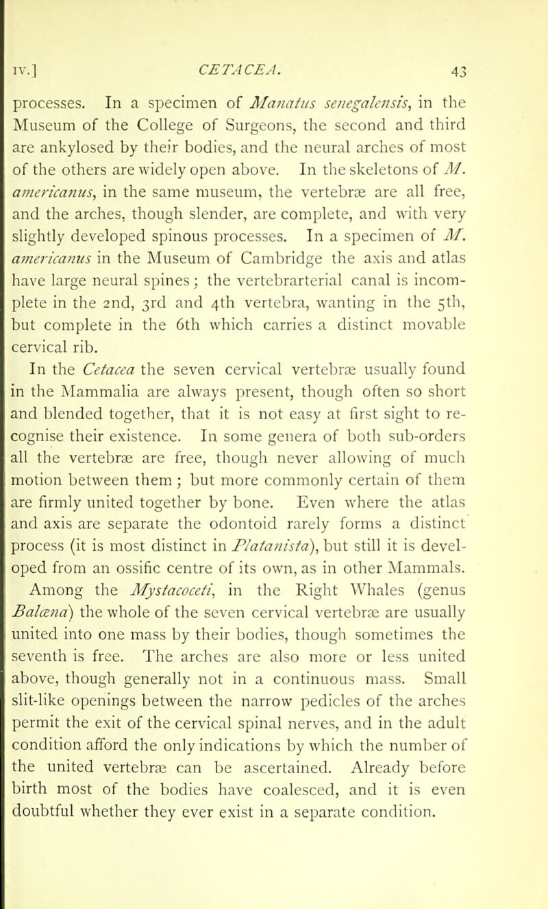 processes. In a specimen of Manatiis senegalensis, in the Museum of the College of Surgeons, the second and third are ankylosed by their bodies, and the neural arches of most of the others are widely open above. In the skeletons of M. americanus, in the same museum, the vertebrae are all free, and the arches, though slender, are complete, and with very slightly developed spinous processes. In a specimen of M. ajiieriiamts in the Museum of Cambridge the axis and atlas have large neural spines; the vertebrarterial canal is incom- plete in the 2nd, 3rd and 4th vertebra, wanting in the 5th, but complete in the 6th which carries a distinct movable cervical rib. In the Cetacea the seven cervical vertebra; usually found in the Mammalia are always present, though often so short and blended together, that it is not easy at first sight to re- cognise their existence. In some genera of both sub-orders all the vertebrae are free, though never allowing of much motion between them ; but more commonly certain of them are firmly united together by bone. Even where the atlas and axis are separate the odontoid rarely forms a distinct process (it is most distinct in Platanista), but still it is devel- oped from an ossific centre of its own, as in other Mammals. Among the Mystacoceti, in the Right Whales (genus BalcEiia) the whole of the seven cervical vertebrae are usually united into one mass by their bodies, though sometimes the seventh is free. The arches are also more or less united above, though generally not in a continuous mass. Small slit-like openings between the narrow pedicles of the arches permit the exit of the cervical spinal nerves, and in the adult condition afford the only indications by which the number of the united vertebrte can be ascertained. Already before birth most of the bodies have coalesced, and it is even doubtful whether they ever exist in a separate condition.