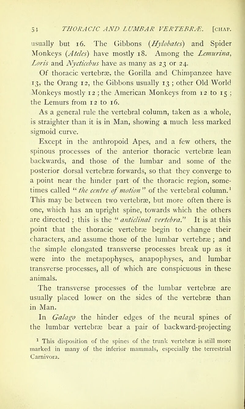 usually but i6. The Gibbons {^Hylobates) and Spider Monkeys {Ateles) have mosdy 18. Among the Leiimrma, Loris and Nycticebus have as many as 23 or 24. Of thoracic vertebrae, the Gorilla and Chimpanzee have 13, the Orang 12, the Gibbons usually 13 ; other Old World Monkeys mostly 12 ; the American Monkeys from 12 to 15 ; the Lemurs from 12 to 16. As a general rule the vertebral column, taken as a whole, is straighter than it is in Man, showing a much less marked sigmoid curve. Except in the anthropoid Apes, and a few others, the spinous processes of the anterior thoracic vertebrse lean backwards, and those of the lumbar and some of the posterior dorsal vertebrae forwards, so that they converge to a point near the hmder part of the thoracic region, some- times called  the centre of motmi  of the vertebral column.' This may be between two vertebrae, but more often there is one, which has an upright spine, towards which the others are directed ; this is the  anticlinal vertebra. It is at this point that the thoracic vertebrae begin to change their characters, and assume those of the lumbar vertebrae; and the simple elongated transverse processes break up as it were into the metapophyses, anapophyses, and lumbar transverse processes, all of which are conspicuous in these animals. The transverse processes of the lumbar vertebrae are usually placed lower on the sides of the vertebrae than in Man. In Galago the hinder edges of the neural spines of the lumbar vertebrae bear a pair of backward-projecting ^ This disposition of the spines of the trunk vertebrae is still more marked in many of the inferior mammals, especially the terrestrial Carnivora.