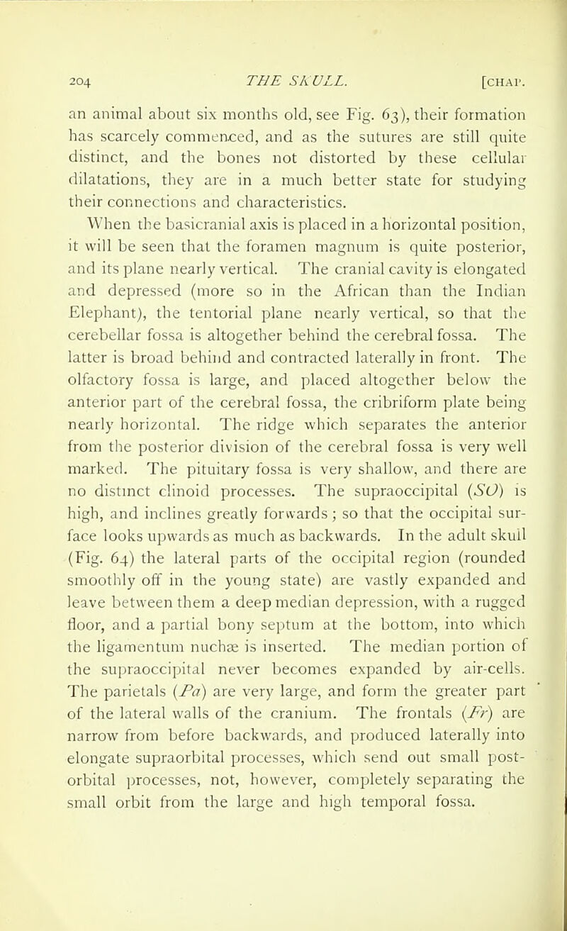 an animal about six months old, see Fig. 63), their formation has scarcely commenced, and as the sutures are still quite distinct, and the bones not distorted by these cellular dilatations, they are in a much better state for studying their connections and characteristics. When the basicranial axis is placed in a horizontal position, it will be seen that the foramen magnum is quite posterior, and its plane nearly vertical. The cranial cavity is elongated and depressed (more so in the African than the Indian Elephant), the tentorial plane nearly vertical, so that the cerebellar fossa is altogether behind the cerebral fossa. The latter is broad behind and contracted laterally in front. The olfactory fossa is large, and placed altogether below the anterior part of the cerebral fossa, the cribriform plate being nearly horizontal. The ridge which separates the anterior from the posterior division of the cerebral fossa is very well marked. The pituitary fossa is very shallow, and there are no distmct clinoid processes. The supraoccipital {SO) is high, and inclines greatly forwards; so that the occipital sur- face looks upwards as much as backwards. In the adult skull (Fig. 64) the lateral parts of the occipital region (rounded smoothly off in the young state) are vastly expanded and leave between them a deep median depression, with a rugged floor, and a partial bony sejjtum at the bottom, into which the ligamentum nuchse is inserted. The median portion of the supraoccipital never becomes expanded by air-cells. The parietals {Pa) are very large, and form the greater part of the lateral walls of the cranium. The frontals (Fr) are narrow from before backwards, and produced laterally into elongate supraorbital processes, which send out small post- orbital processes, not, however, completely separating the small orbit from the large and high temporal fossa.