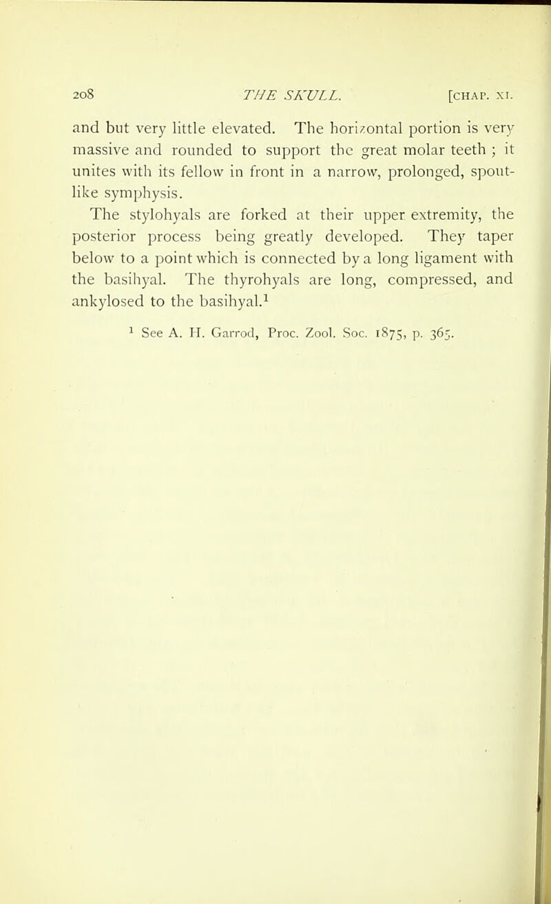 and but very little elevated. The horizontal portion is very massive and rounded to support the great molar teeth ; it unites with its fellow in front in a narrow, prolonged, spout- like symphysis. The stylohyals are forked at their upper extremity, the posterior process being greatly developed. They taper below to a point which is connected by a long ligament with the basihyal. The thyrohyals are long, compressed, and ankylosed to the basihyal.^ 1 See A. H. Garrod, Proc. Zool. Soc. 1875, p. 365.