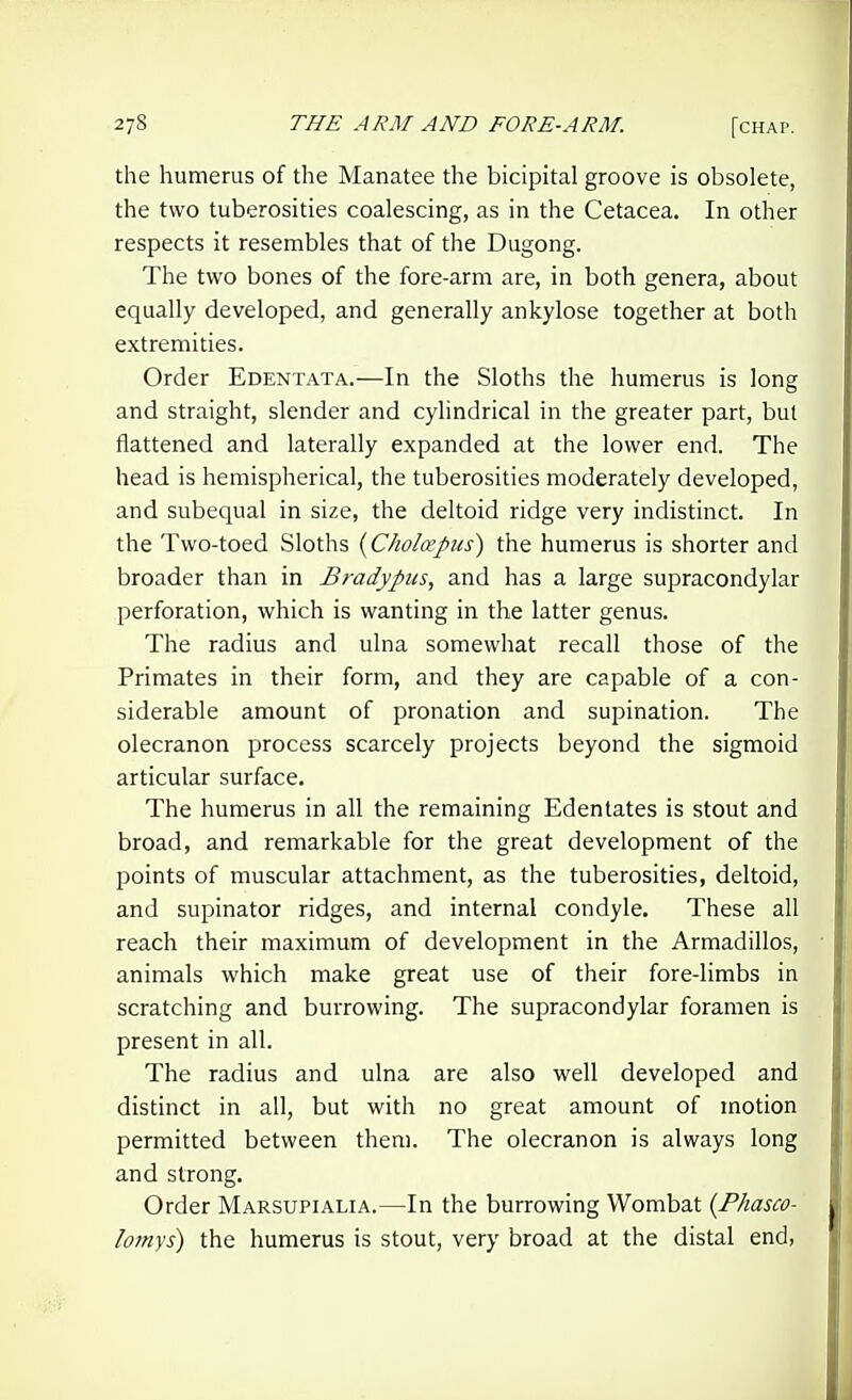 the humerus of the Manatee the bicipital groove is obsolete, the two tuberosities coalescing, as in the Cetacea. In other respects it resembles that of the Dugong. The two bones of the fore-arm are, in both genera, about equally developed, and generally ankylose together at both extremities. Order Edentata.—In the Sloths the humerus is long and straight, slender and cylindrical in the greater part, but flattened and laterally expanded at the lower end. The head is hemispherical, the tuberosities moderately developed, and subequal in size, the deltoid ridge very indistinct. In the Two-toed Sloths {Cholcepus') the humerus is shorter and broader than in Bradypiis, and has a large supracondylar perforation, which is wanting in the latter genus. The radius and ulna somewhat recall those of the Primates in their form, and they are capable of a con- siderable amount of pronation and supination. The olecranon process scarcely projects beyond the sigmoid articular surface. The humerus in all the remaining Edentates is stout and broad, and remarkable for the great development of the points of muscular attachment, as the tuberosities, deltoid, and supinator ridges, and internal condyle. These all reach their maximum of development in the Armadillos, animals which make great use of their fore-limbs in scratching and burrowing. The supracondylar foramen is present in all. The radius and ulna are also well developed and distinct in all, but with no great amount of motion permitted between them. The olecranon is always long and strong. Order Marsupialia.—In the burrowing Wombat {Phasco- lomys) the humerus is stout, very broad at the distal end,