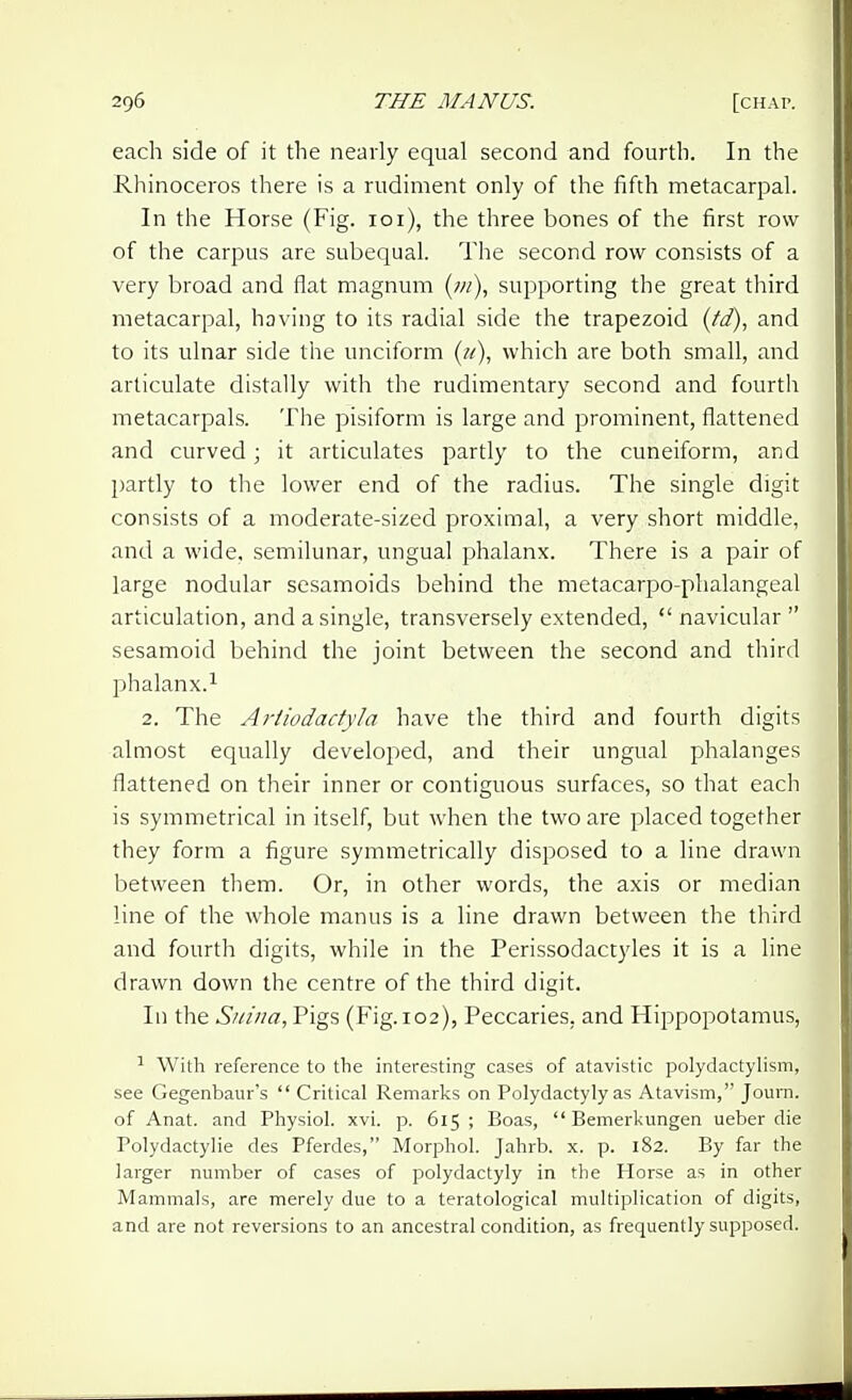 each side of it the nearly equal second and fourth. In the Rhinoceros there is a rudiment only of the fifth metacarpal. In the Horse (Fig. loi), the three bones of the first row of the carpus are subequal. The second row consists of a very broad and flat magnum (w), supporting the great third metacarpal, having to its radial side the trapezoid (td), and to its ulnar side the unciform (//), which are both small, and articulate distally with the rudimentary second and fourth metacarpals. The pisiform is large and prominent, flattened and curved; it articulates partly to the cuneiform, and l)artly to the lower end of the radius. The single digit consists of a moderate-sized proximal, a very short middle, and a wide, semilunar, ungual phalanx. There is a pair of large nodular sesamoids behind the metacarpo-phalangeal articulation, and a single, transversely extended, navicular sesamoid behind the joint between the second and third phalanx.1 2. The Ariiodadyla have the third and fourth digits almost equally developed, and their ungual phalanges flattened on their inner or contiguous surfaces, so that each is symmetrical in itself, but when the two are placed together they form a figure symmetrically disposed to a line drawn between them. Or, in other words, the axis or median line of the whole manus is a line drawn between the third and fourth digits, while in the Perissodactyles it is a line drawn down the centre of the third digit. In the Snina, Pigs (Fig. 102), Peccaries, and Hippopotamus, With reference to the interesting cases of atavistic polydactylism, see Gegenbaurs  Critical Remarks on Polydactyly as Atavism, Jouni. of Anat. and Physiol, xvi. p. 615 ; Boas,  Bemerkimgen ueber die Polydactylie des Pferdes, Morphol. Jahrb. x. p. 182. By far the larger number of cases of Polydactyly in the Horse as in other Mammals, are merely due to a teratological multiplication of digits, and are not reversions to an ancestral condition, as frequently supposed.
