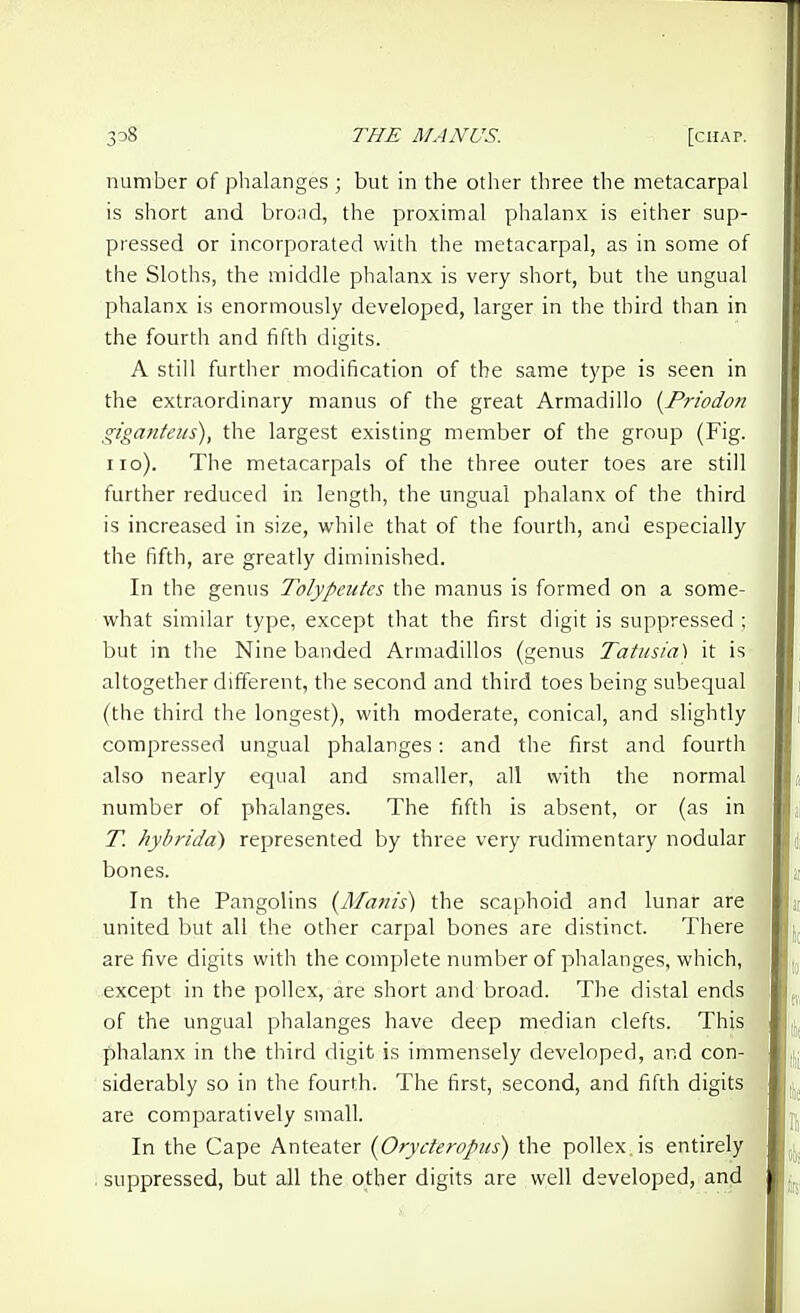 number of phalanges ; but in the other three the metacarpal is short and brond, the proximal phalanx is either sup- pressed or incorporated with the metacarpal, as in some of the Sloths, the middle phalanx is very short, but the ungual phalanx is enormously developed, larger in the third than in the fourth and fifth digits. A still further modification of the same type is seen in the extraordinary manus of the great Armadillo {Priodon giganteiis), the largest existing member of the group (Fig. no). The metacarpals of the three outer toes are still further reduced in length, the ungual phalanx of the third is increased in size, while that of the fourth, and especially the fifth, are greatly diminished. In the genus Tolype^ites the manus is formed on a some- what similar type, except that the first digit is suppressed ; but in the Nine banded Armadillos (genus Tatusia) it is altogether different, the second and third toes being subequal (the third the longest), with moderate, conical, and slightly compressed ungual phalanges: and the first and fourth also nearly equal and smaller, all with the normal number of phalanges. The fifth is absent, or (as in T. hybrida) represented by three very rudimentary nodular bones. In the Pangolins {Manis) the scaphoid and lunar are united but all the other carpal bones are distinct. There are five digits with the complete number of phalanges, which, except in the pollex, are short and broad. The distal ends of the ungual phalanges have deep median clefts. This phalanx in the third digit is immensely developed, and con- siderably so in the fourth. The first, second, and fifth digits are comparatively small. In the Cape Anteater {Oryderopus) the pollex is entirely suppressed, but all the other digits are well developed, and