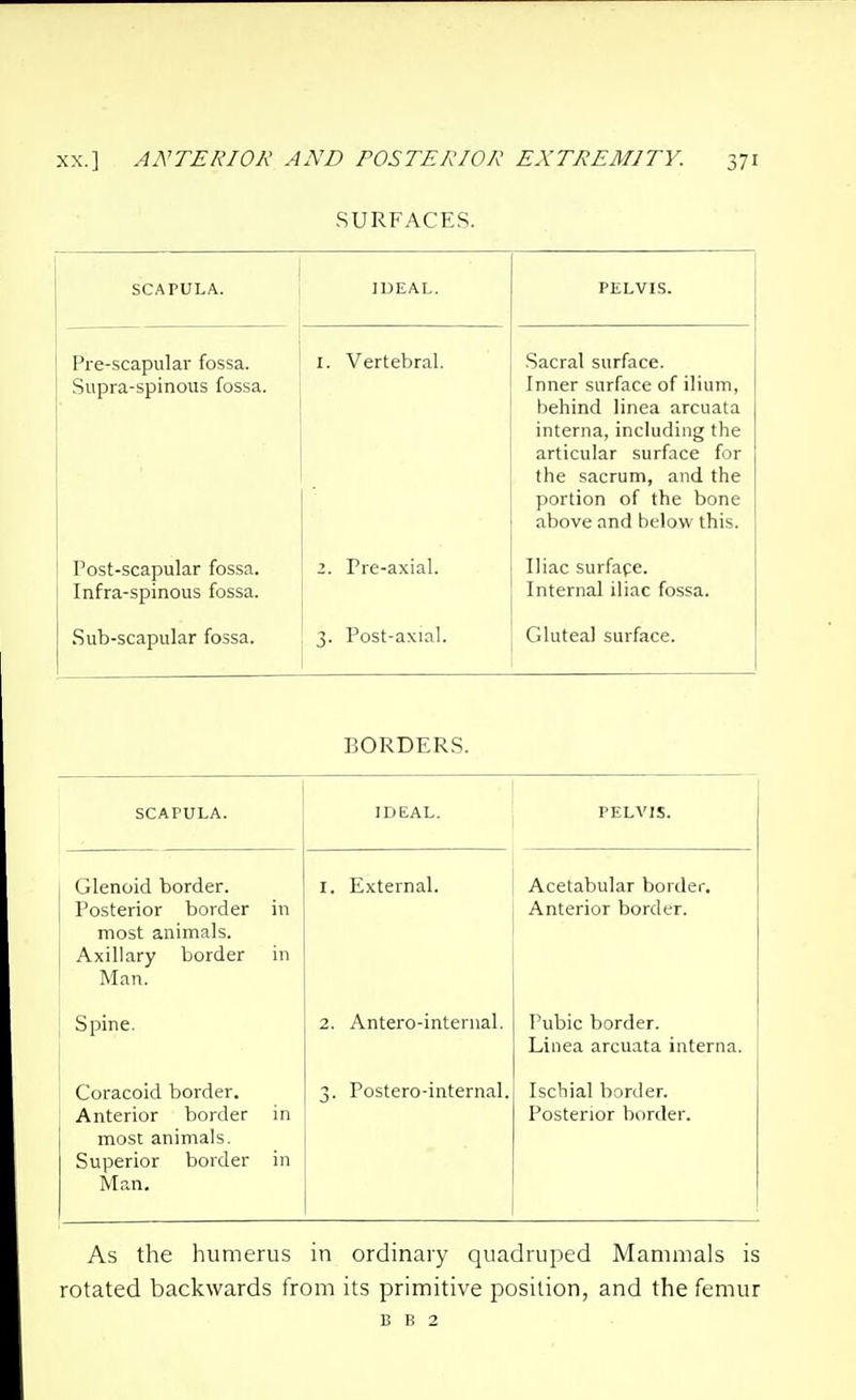 SURFACES. SCAPULA. IDEAL. PELVIS. PrG-sc&pul^r fossji. Supra-spinous fossa. 1. Vertebral. Sacral surface. Inner surface of ilium, behind linea arcuata interna, including the articular surface for the sacrum, and the portion of the bone above and below this. Post-scapular fossa. Infra-spinous fossa. z. Pre-axial. Iliac surface. Internal iliac fossa. Sub-scapular fossa. 3. Post-axial. Gluteal surface. BORDERS. SCAPULA. IDEAL. PELVIS. Glenoid border. I. External. Acetabular border. Posterior border in Anterior border. most animals. Axillary border in Man. Spine. 2. Antero-internal. Pubic border. Linea arcuata interna. Coracoid border. 3- Postero-internal. Ischial border. Anterior border in Posterior border. most animals. Superior border in Man. As the humerus in ordinary quadruped Mammals is rotated backwards from its primitive position, and the femur B B 2