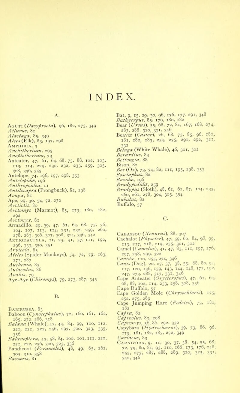 A. Aguti (Dasyprocid), g6, 182, 275, 349 A Hums, 81 Alactaga, 85, 349 Alcest^Xk), 83, 197. 298 Amphibia, 3 .4 >uh it he rium ,295 Anoplotheriuut, 73 Aiiteater, 47, 61, 64, 68, 75, 88, 102, 103, 113, 114, 229, 230, 232, 233, 259, 305, 308, 336, 355 Antelope, 74, 196, 197, 298, 353 AntelopidiP. 196 Anthropoiciea. 11 Antilocapra (Prongbuck), 82, 298 Aonyx, 81 Ape, 29, 30, 54, 72, 272 Arcticlis, 80 Arcto?nys (Marmot), 85, 179, i3o, 182, 292 A ret onyx, 81 Armadillo, 29, 39, 47, 61, 64. 68, 75, 76, 104, 107, 113. 114, 231, 232, 259, 260, 278, 283, 306, 307. 308, 324, 336, 342 Artiodactyla, II, 29, 41, 57, III, 192, 296. 333> 350. 351 Arvicola. 85 v'f/ff/w (Spider Monkeys), 54, 72, 79, 163, 273, 287 Auchcnza^ 83 Aulacodus, 86 Avahis, 79 Aye-Aye (Chiromys), 79, 273, 287, 345 B. Babirussa, 83 Baboon (Cynocephalus), 72, 160, 161, 162, 165, 272, 286, 318 /Jatoa (Whale), 43, 44, 84, 99, 100, 112, 220, 221, 222, 256, 297, 300, 323, 335, 3S6 Halienoptera, 43, 58, 84, 100, ici, iii, 220, 221, 222, 256, 300, 323, 336 Bandicoot (Perameles), 48, 49, 65, 262, 309, 310. 358 B as saris, 81 Bat, 9, 15, 29. 30, 96, 176, 177. 291, 348 Bathycrgus, 85, 179, 180, 182 Bear(t/m«), 55, 68, 72, 81, 167, 168, 274, 287, 288. 320, 331, 346 Beaver (Castor\ 26, 68. 73. 85, 96. 180, 181, 182, 183, 254, 275, 291, 292, 321, 332 Beluga (White Whale), 46, 301, 302 Bcrardiiis, 84 Bettongia, 88 Bison, 82 Bos (Ox), 73, 74, 82, III, 195, 298, 353 Boselaphus, 82 Bovidcp,, 196 Bradypodidrt, 259 BradypHS (Sloth), 48, 61, 62, 87, 104. 233, 260, 261, 278, 304, 305, 354 Bubalus, 82 Buffalo, 57 c. Caba?sou {Xenurus\ 88, 307 Cachalot {Physeter), 47, 59. 60, 84, gS, 99, 113, 217, 218, 219, 255, 301, 302 Camel (Camelus), 41, 47, 83, iii, 197, 276, 297, 298, 299. 322 Canidce, 110, 255, 274, 346 Canis (Dog), 20, 27, 37, 38, 55, 68, 8c, 94, 117, 120, 136, 139, 143, 144. 148, 172, 19-' 247, 273. 288, 317, 331, 346 Cape Anteater (Orycterofms), 47, 61, 64, 68, 88, 102, 114, 233, 258, 308, 336 Cape Buffalo, 57 Cape Golden Mole {Chrysochloris), 175, 252, 275, 289 Cape Jumping Hare {Pedetes\ t^, 180, 182 Capra^ 82 Capreolus, 83, 298 CaproJi,ys, 56, 86, 292. 332 Capybara (Hydrocha'rus), 39, 73, 86, 96, 179, 181, 182, 183, 2^2, 349 Cariacus^ 83 Carnivora, 9. II, 30, 37, 38. 54, 55, 68, 72, 79, 80, 81, 93. 110, 166, 173, 176, 248, 255> 273. 287, 288, 289, 320, 325, 331, 342, 346