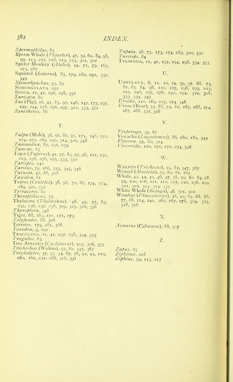 Spermophiltcs, 85 Sperm Whale {Pkyseier), 47, 59,60, 84, 98, 99, 113, 217, 218, 219, 255, 301, 302 Spider RIonkey {Ateles), 54, 72, 79, 163, 273. 287 Squirrel (Sciurus), 85, 179, 180, 292, 332 349 StenorhyncJnts, 55, 82 SUBUNGULATA. 292 SUINA, II, 41, 296, 298, 352 Suricata. 80 Sus(P\%), 26, 41, 83, 97, 146, 147,175,197, 199. 244> 258, 296, 297, 322, 333, 352 ciynelneres, 86 Tiipaia. 56, 73, 173, 174, 289, 320, 332 Titrsiops, 84 TyLOPODA, II, 41, 197, 294, 298, 334, 353 U. Ungulata, 8, II, 20, 24, 39, 57, 68, 73, 82, 83, 84, 96, 110, 185, 198, 199, 223' 225, 243, 257, 276, 292, 294, 321, 328, 333-334. 349 Ursida, no. 169, 255, 274, 346 Ursns (Bear), 55, 68, 72, 81, 167, 168, 274, 287, 288, 331, 346 T. Talpa (Mole), 38, 56, 86, 95, 175, 246, 251, 274, 275. 289, 290, 314, 320, 348 Tamandua^ 87, 231, 259 * Tamias. 85 Tapir (ra;>/r?«), 41, 57, 83, 97, 98, in, 191, 225, 258, 276, 295, 333, 350 Tarsipes, 240 Tarsius, 79, 166, 319, 345, 346 Tatusia, 47, 88, 308 Taxidea^ 81 Titm!:z{Centete$), 38, 56, 72, 86, 174, 274, 289, 320, 332 Tetraceros, 82 Theropiihecits, 79 Thylacine (Tkylacimis), ■'48, 49, 77, 89, 235, 236, 237, 238, 309, 325, 326, 356 Thyroptera. 348 Tiger, 68, 169, 170, 171, 173 Tolypeutcs, 88, 308 Tortoise. 179, 281, 366 Tojcodon, 9, 292 Tragulina. ti, 41, 197, 298, 334, 353 Trngiihis. 83 Tree Anteater (Cycloturiis), 103, 306, 355 Trichechns (Walrus), 55, 82, 347, 367 Troglodytes, 37, 53. 54, 67, 78, 92, 93, no, 160, 161, 251, 286, 318, 331 V. l^esfieriigo, 39. 87 Viscacha (Lagostomiis), 86, 180, 182, 349 Viverra. 55, 80, 314 Viverridte, no, 171, 172, 274, 346 W. Walrus (T'r/Vfe/w), 55, 82, 347, 367 Weasel (MustcLa), 55, 80, 81, 169 Whale, 43, 44, 45, 46, 47, 58, 59, 6o, 84. 98, 99, 100, 106, in, 112, 217, 220, 256, 299, 301, 302, 323. 324. 33(5 White Whale (Beluga)', 46. 301, 302 Wombat (Phascotoviys), 48, 49, 65. 68, 76, 77, 88, 114, 240, 262, 267, 278, 309, 325, 328, 356 X. Xenunts (Cabassou), 88, 307 Z. Zapus, 85 Ziphihicu, 218 Ziphhis, 59, 113. 217