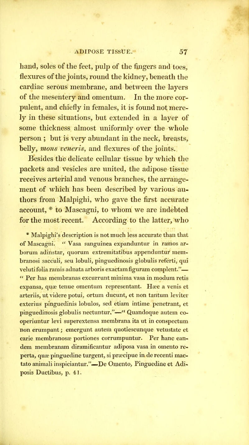 hand, soles of the feet, pulp of the fiijgers and toes, flexures of the joints, round the kidney, beneath the cardiac serous membrane, and between the layers of the mesentery and omentum. In the more cor- pulent, and chiefly in females, it is found not mere- ly in these situations, but extended in a layer of some thickness almost uniformly over the whole person ; but is very abundant in the neck, breasts, belly, mons veneris, and flexures of the joints. Besides the delicate cellular tissue by which the packets and vesicles are united, the adipose tissue receives arterial and venous branches, the arrange- ment of which has been described by various au- thors from Malpighi, who gave the first accurate account, * to Mascagni, to whom we are indebted for the most recent. According to the latter, who * Malpighi's description is not much less accurate than that of Mascagni. Vasa sanguines expanduntur in ramos ar- borum adinstar, quorum extremitatibus appenduntur mem- branosi sacculi, seu lobuli, pinguedinosis globulis referti, qui veluti folia ramis adnata arboris exactam figuram complent.— Per has membranas excurrunt minima vasa in modum retis expansa, quae tenue omentum representant. Ha?c a venis et arteriis, ut videre potui, ortum ducunt, et non tantum leviter exterius pinguedinis lobulos, sed etiam intime penetrant, et pinguedinosis globulis nectuntur.— Quandoque autem co- operiuntur levi superextensa membrana ita ut in conspectum non erumpant; emergunt autem quotiescunque vetustate et carie membranosae portiones corrumpuntur. Per hanc ean- dem membranam diramificantur adiposa vasa in omento re- perta, quae pinguedine turgent, si praecipue in de recenti mac- tato animali inspiciantur.—De Omento, Pinguedine et Adi- posis Ductibus, p. 41.