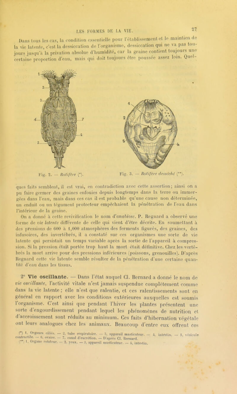 Dans fous les cas, la condition essentielle pour l'élablissemcnt et le maintien de la vie latente, c'est la dessiccation de l'organisme, dessiccation qui ne va pas tou- jours jusqu'à la privation absolue d'humidité, car la graine contient toujours unn certaine proportion d'eau, mais qui doit toujours être poussée assez loin. Quel- ques faits semblent, il est vrai, en contradiction avec cette assertion; ainsi on a pu faire germer des graines enfouies depuis longtemps dans la terre ou immer- gées dans l'eau, mais dans ces cas il est probable qu'une cause non déterminée, un enduit ou un tégument protecteur empêchaient la pénétration de l'eau dans l'intérieur de la graine. On a donné à cette revivification le nom d'anahiose. P. Regnard a observé une forme de vie latente différente de celle qui vient d'être décrite. En soumettant à des pressions de 600 à 1,000 atmosphères des ferments figurés, des graines, des infusoires, des invertébrés, il a constaté sur ces organismes une sorte de vie latente qui persistait un temps variable après la sortie de l'appareil à compres- sion. wSi la pression était portée trop haut la mort était définitive. Chez les verté- brés la mort arrive pour des pressions inférieures (poissons, grenouilles). D'après Regnard cette vie latente semble résulter de la pénétration d'une certaine ([uan- tité d'eau dans les tissus. 2 Vie oscillante. — Dans l'état auquel Cl. Bernard a donné le nom de vie oscillante, l'activité vitale n'est jamais sqspendue complètement comme dans la vie latente ; elle n'est que ralentie, et ces ralentissements sont en général en rapport avec les conditions extérieures auxquelles est soumis l'organisme. C'est ainsi que pendant l'hiver les plantes présentent une sorte d'engourdissement pendant lequel les phénomènes de nutrition et d'accroissement sont réduits au minimum. Ces faits d'hibernation végétale ont leurs analogues chez les animaux. Beaucoup d'entre eux offrent ces (•) 1, Organes cili.'vs. — i. tuhe respiratoire. — appareil masticateur. — 4, intestin. — 5, vésicule contraefile. — (i. ovaire. — 7, canal d'excrétion. — D'après CI. Rernard. () I, Organe rotateur. _ 2, yeux. — 3. appareil masticateur. - 4, intestin