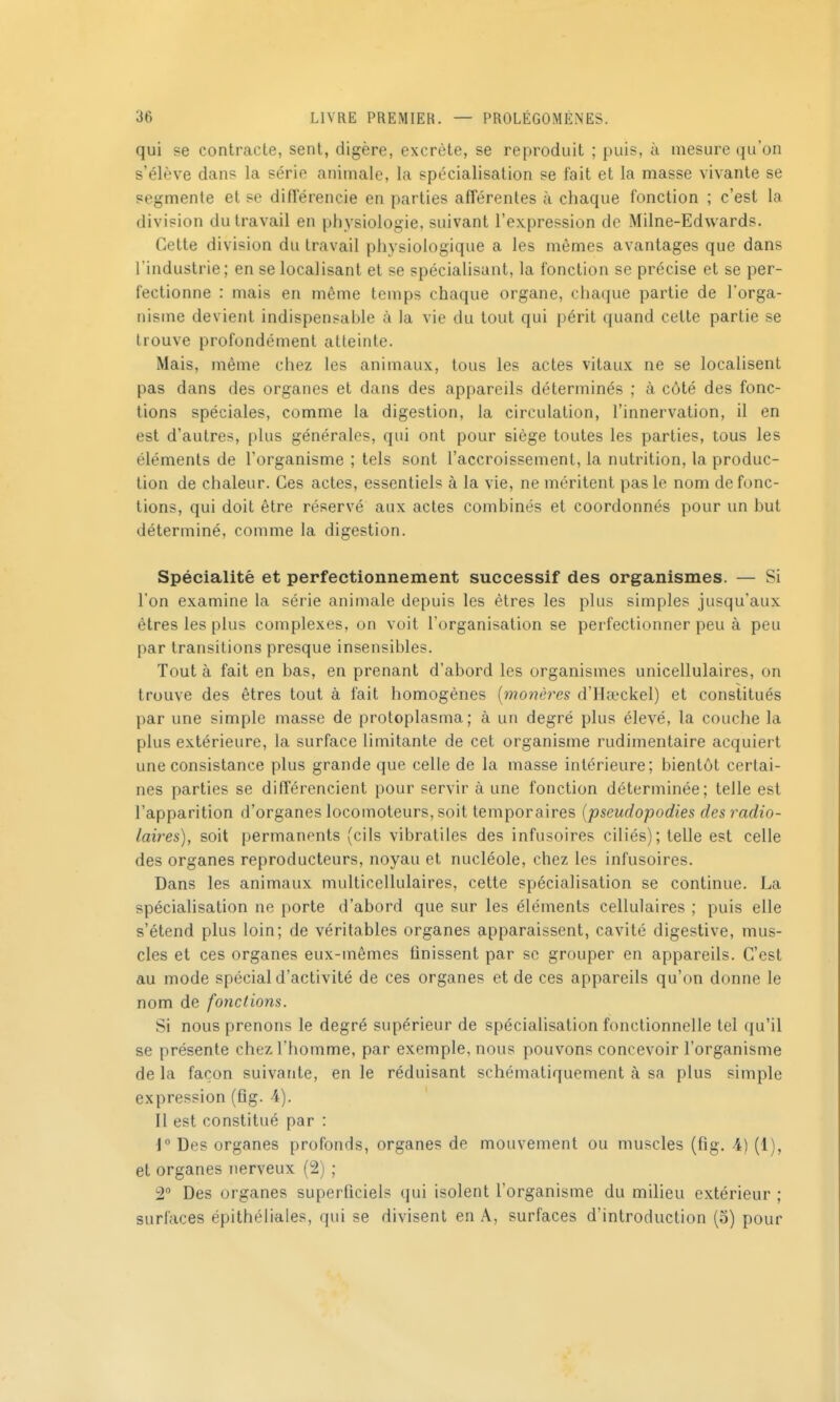 qui se contracte, sent, digère, excrète, se reproduit ; puis, à mesure qu'on s'élève dans la série animale, la spécialisation se fait et la masse vivante se segmente et se difterencie en parties afférentes à chaque fonction ; c'est la division du travail en physiologie, suivant l'expression de Milne-Edwards. Cette division du travail physiologique a les mêmes avantages que dans l'industrie; en se localisant et se spécialisant, la fonction se précise et se per- fectionne : mais en même temps chaque organe, chaque partie de l'orga- nisme devient indispensable à la vie du tout qui périt quand celte partie se trouve profondément atteinte. Mais, même chez les animaux, tous les actes vitaux ne se localisent pas dans des organes et dans des appareils déterminés ; à côté des fonc- tions spéciales, comme la digestion, la circulation, l'innervation, il en est d'autres, plus générales, qui ont pour siège toutes les parties, tous les éléments de l'organisme ; tels sont l'accroissement, la nutrition, la produc- tion de chaleur. Ces actes, essentiels à la vie, ne méritent pas le nom de fonc- tions, qui doit être réservé aux actes combinés et coordonnés pour un but déterminé, comme la digestion. Spécialité et perfectionnement successif des organismes. — Si l'on examine la série animale depuis les êtres les plus simples jusqu'aux êtres les plus complexes, on voit l'organisation se perfectionner peu à peu par transitions presque insensibles. Tout à fait en bas, en prenant d'abord les organismes unicellulaires, on trouve des êtres tout à fait homogènes {monères d'Ha^ckel) et constitués par une simple masse de protoplasma; à un degré plus élevé, la couche la plus extérieure, la surface limitante de cet organisme rudimentaire acquiert une consistance plus grande que celle de la masse intérieure; bientôt certai- nes parties se différencient pour servir à une fonction déterminée; telle est l'apparition d'organes locomoteurs, soit temporaires {pseudopodies des radio- laires), soit permanents (cils vibratiles des infusoires ciliés); telle est celle des organes reproducteurs, noyau et nucléole, chez les infusoires. Dans les animaux multicellulaires, cette spécialisation se continue. La spécialisation ne porte d'abord que sur les éléments cellulaires ; puis elle s'étend plus loin; de véritables organes apparaissent, cavité digestive, mus- cles et ces organes eux-mêmes finissent par se grouper en appareils. C'est au mode spécial d'activité de ces organes et de ces appareils qu'on donne le nom de fonctions. Si nous prenons le degré supérieur de spécialisation fonctionnelle tel (ju'il se présente chez l'homme, par exemple, nous pouvons concevoir l'organisme de la façon suivante, en le réduisant schématiquement à sa plus simple expression (fig. 4). Il est constitué par : \° Des organes profonds, organes de mouvement ou muscles (fig. \) (1), et organes nerveux (2) ; 2° Des organes superficiels qui isolent l'organisme du milieu extérieur ; surfaces épithéliales, qui se divisent en A, surfaces d'introduction (o) pour