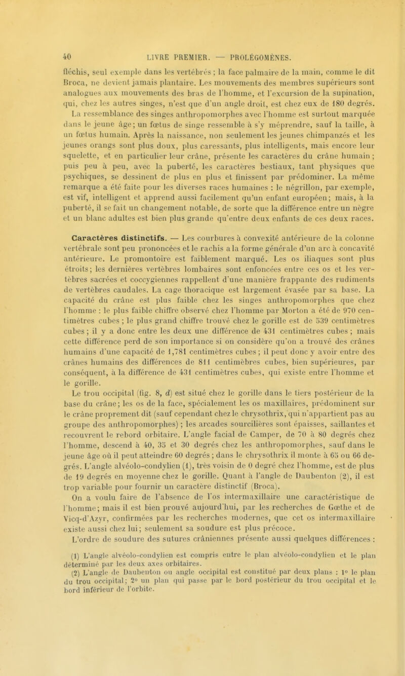 fléchis, seul exemple dans les vertébrés ; la face palmaire de la main, comme le dit Broca, ne devient jamais plantaire. Les mouvements des membres supérieurs sont analogues aux mouvements des bras de l'homme, et l'excursion de la supination, qui, chez les autres singes, n'est que d'un angle droit, est chez eux de 180 degrés. La ressemblance des singes anthropomorphes avec l'homme est surtout marquée dans le jeune âge; un fœtus de singe ressemble à s'y méprendre, sauf la taille, à un fœtus humain. Après la naissance, non seulement les jeunes chimpanzés et les jeunes orangs sont plus doux, plus caressants, plus intelligents, mais encore leur squelette, et en particulier leur crâne, présente les caractères du crâne humain ; puis peu à peu, avec la puberté, les caractères bestiaux, tant physiques que psychiques, se dessinent de plus en plus et finissent par prédominer. La même remarque a été faite pour les diverses races humaines : le négrillon, par exemple, est vif, intelligent et apprend aussi facilement qu'un enfant européen; mais, à la puberté, il se fait un changement notable, de sorte que la différence entre un nègre et un blanc adultes est bien plus grande qu'entre deux enfants de ces deux races. Caractères distinctifs. — Les courbures à convexité antérieure de la colonne vertébrale sont peu prononcées et le rachis a la forme générale d'an arc à concavité antérieure. Le promontoire est faiblement marqué. Les os iliaques sont plus étroits; les dernières vertèbres lombaires sont enfoncées entre ces os et les ver- tèbres sacrées et coccygiennes rappellent d'une manière frappante des rudiments de vertèbres caudales. La cage thoracique est largement évasée par sa base. La capacité du crâne est plus faible chez les singes anthropomorphes que chez l'homme : le plus faible chiffre observé chez l'homme par Morton a été de 970 cen- timètres cubes ; le plus grand chiffre trouvé chez le gorille est de o39 centimètres cubes ; il y a donc entre les deux une différence de 431 centimètres cubes ; mais cette différence perd de son importance si on considère qu'on a trouvé des crânes humains d'une capacité de 1,781 centimètres cubes; il peut donc y avoir entre des crânes humains des différences de 811 centimèbres cubes, bien supérieures, par conséquent, à la différence de 431 centimètres cubes, qui existe entre l'homme et le gorille. Le trou occipital (fîg. 8, d) est situé chez le gorille dans le tiers postérieur de la base du crâne; les os de la face, spécialement les os maxillaires, prédominent sur le crâne proprement dit (sauf cependant chez le chrysothrix, qui n'appartient pas au groupe des anthropomorphes) ; les arcades sourcilières sont épaisses, saillantes et recouvrent le rebord orbitaire. L'angle facial de Camper, de 70 à 80 degrés chez l'homme, descend à 40, 33 et 30 degrés chez les anthropomorphes, sauf dans le jeune âge où il peut atteindre 60 degrés ; dans le chrysothrix il monte à 63 ou 66 de- grés. L'angle alvéolo-condylien (1), très voisin de 0 degré chez l'homme, est de plus de 19 degrés en moyenne chez le gorille. Quant à l'angle de Daubenton (2), il est trop variable pour fournir un caractère distinctif (Broca). On a voulu faire de l'absence de l'os intermaxillaire une caractéristique de I homme; mais il est bien prouvé aujourd'hui, par les recherches de Gœthe et de Vicq-d'Azyr, confirmées par les recherches modernes, que cet os intei^axillaire existe aussi chez lui; seulement sa soudure est plus précoce. L'ordre de soudure des sutures crâniennes présente aussi quelques différences : (1) L'angle alvéolo-coiidylieu est compris outre le plan alvéoIo-condylien et le plan déterminé par les deux axes orbitaires. (2) L'angle de Dauhenton ou angle occipital est constitué par deux plans : i le plan du trou occipital; 2° un plan (|ui passe par le bord postérieur du trou occipital et le hord inférieur de l'orbite.